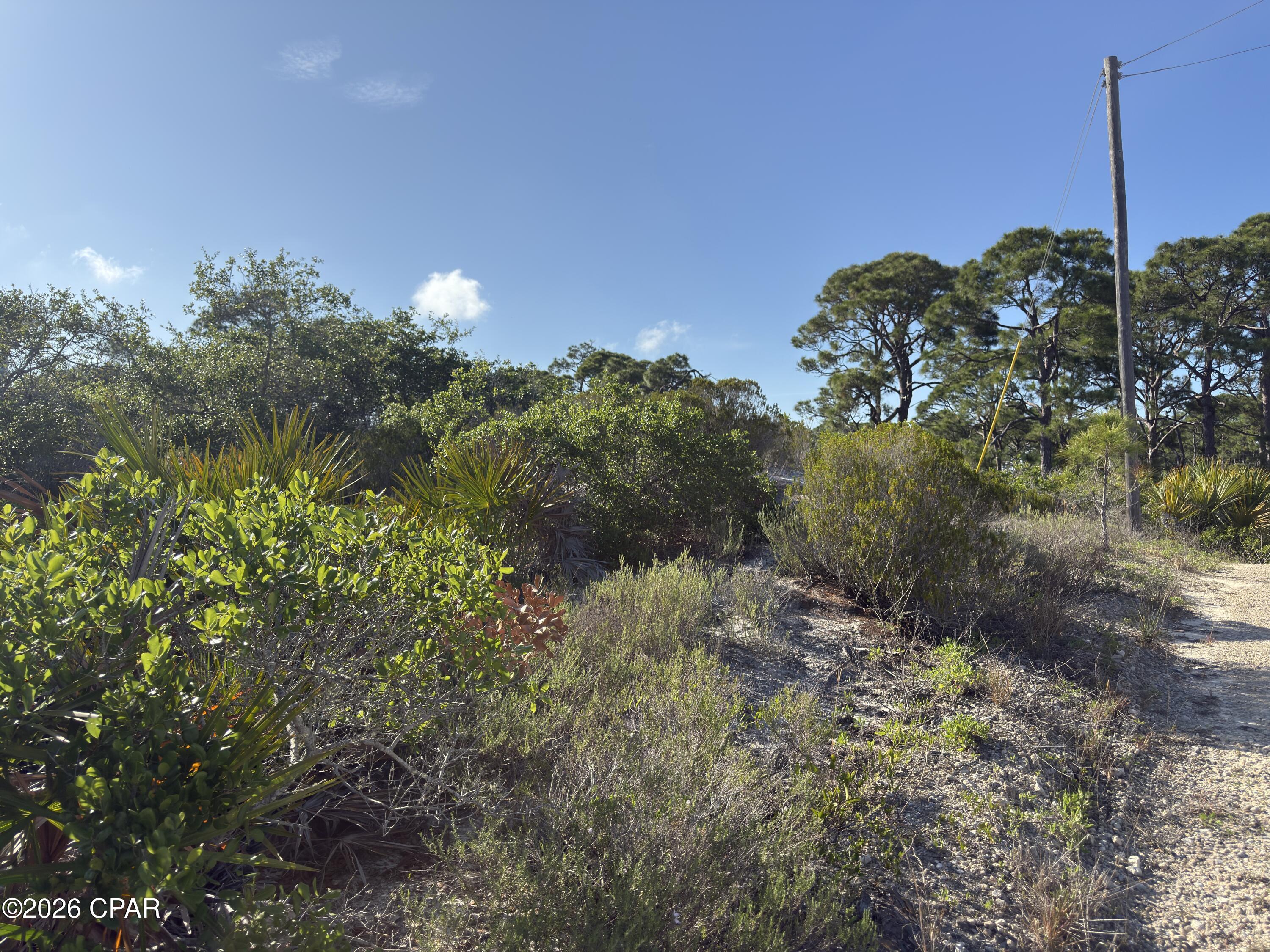 Rare X FLOOD ZONE LOT with high elevation on the south end of Cape San Blas. This .34 acre lot has dedicated beach access, reasonable restrictions, and NO HOA!! The X flood zone will offer potential options for ground floor construction, without pilings or stairs. Located about a mile west of the user friendly Salinas park where one can enjoy pickleball, dedicated driving access point, as well as gulf and bay access. 10 minutes to Port St Joe and only 20 minutes to historic Apalachicola. Priced to sell!! Survey, restrictions, road access agreement all on file. Some dimensions were obtained from the gulf County Property Appraisers office, please verify if important.