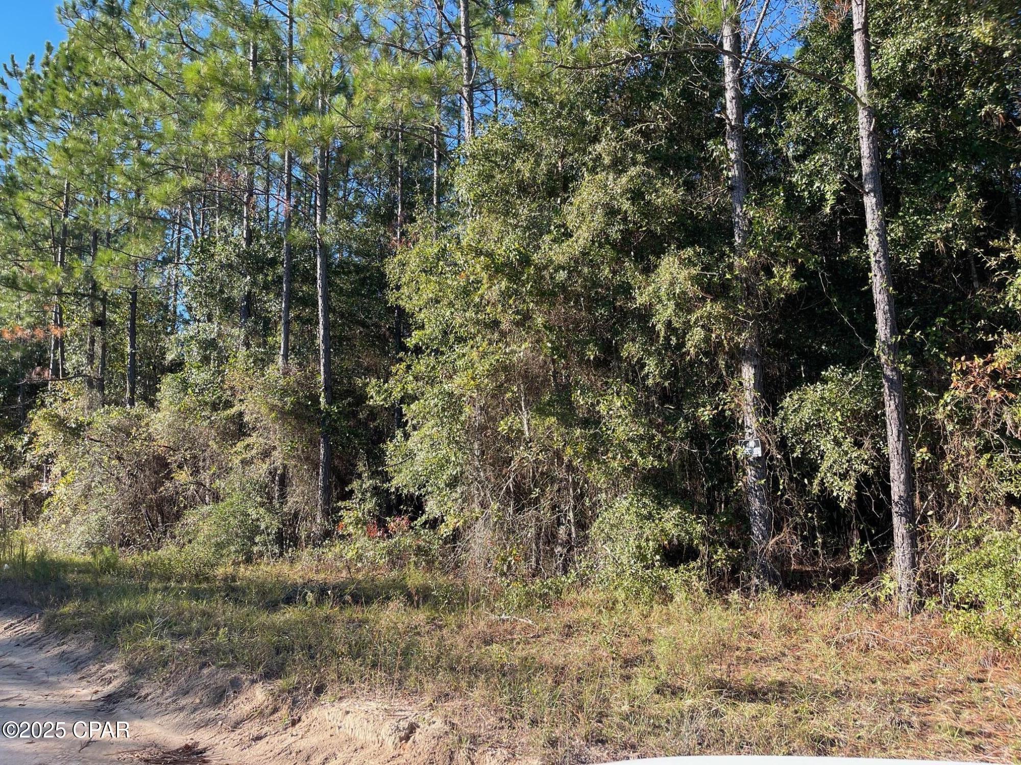 Escape to peace and privacy with this beautiful 7.5-acre wooded lot located in the quiet countryside of Greenwood, Florida. This property offers the perfect blend of seclusion and serenity. Whether you're dreaming of building your forever home, a cozy cabin retreat, or simply investing in a slice of untouched Florida landscape, this property provides endless potential. Only 13 minutes from the town of Marianna and a 16-minute drive to the Super Walmart and local restaurants.