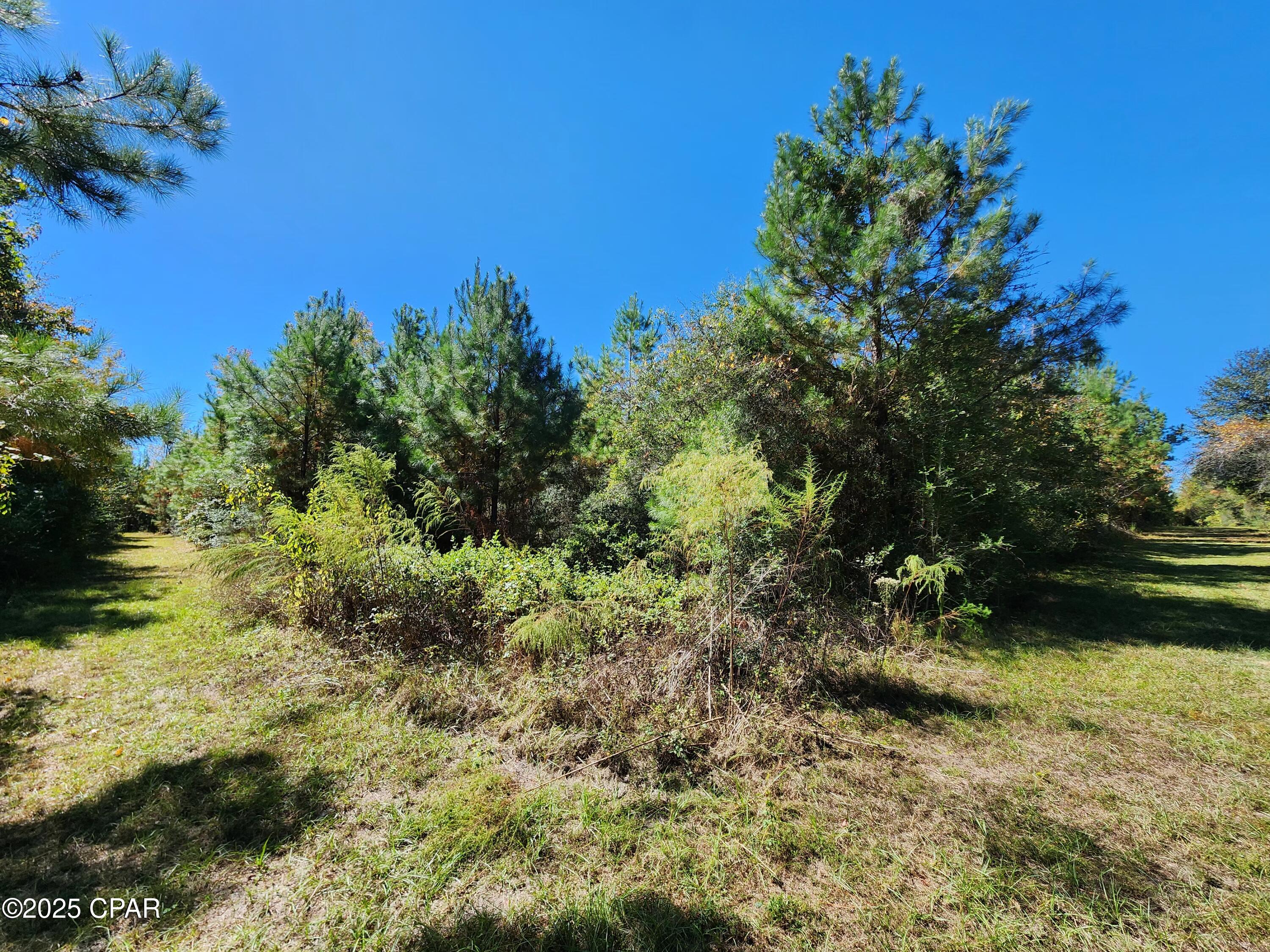 Discover Your Dream Property in Jackson County!
Imagine owning 106 acres of stunning wooded land, perfectly nestled on the Panama City side of Jackson County, just a mile down the county-maintained Pineridge Church Road. This breathtaking tract, split by the road for ultimate accessibility, offers endless possibilities--whether you're envisioning a serene homesite or a premier hunting retreat.
With abundant road frontage, exploring every corner of this expansive property is a breeze. Nature enthusiasts and hunters will be thrilled by the thriving wildlife, including large bucks, quail, and wild turkey, making this a true sportsman's paradise. The lush, wooded landscape provides both privacy and adventure, ideal for creating your own legacy estate or a weekend getaway immersed in nature.
Don't miss this rare opportunity to own a versatile, wildlife-rich tract in a prime location. Build your dream home, create a hunting haven, or simply invest in the beauty of untouched land. Act now--this Jackson County gem won't last long! Contact us today to schedule a visit and see the potential for yourself!