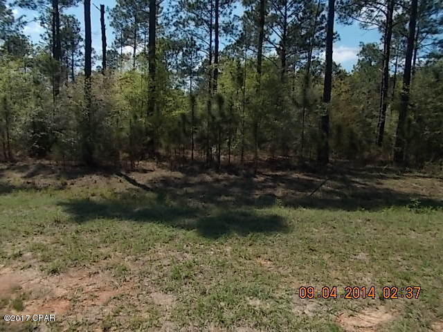 Reedy Creek - Land