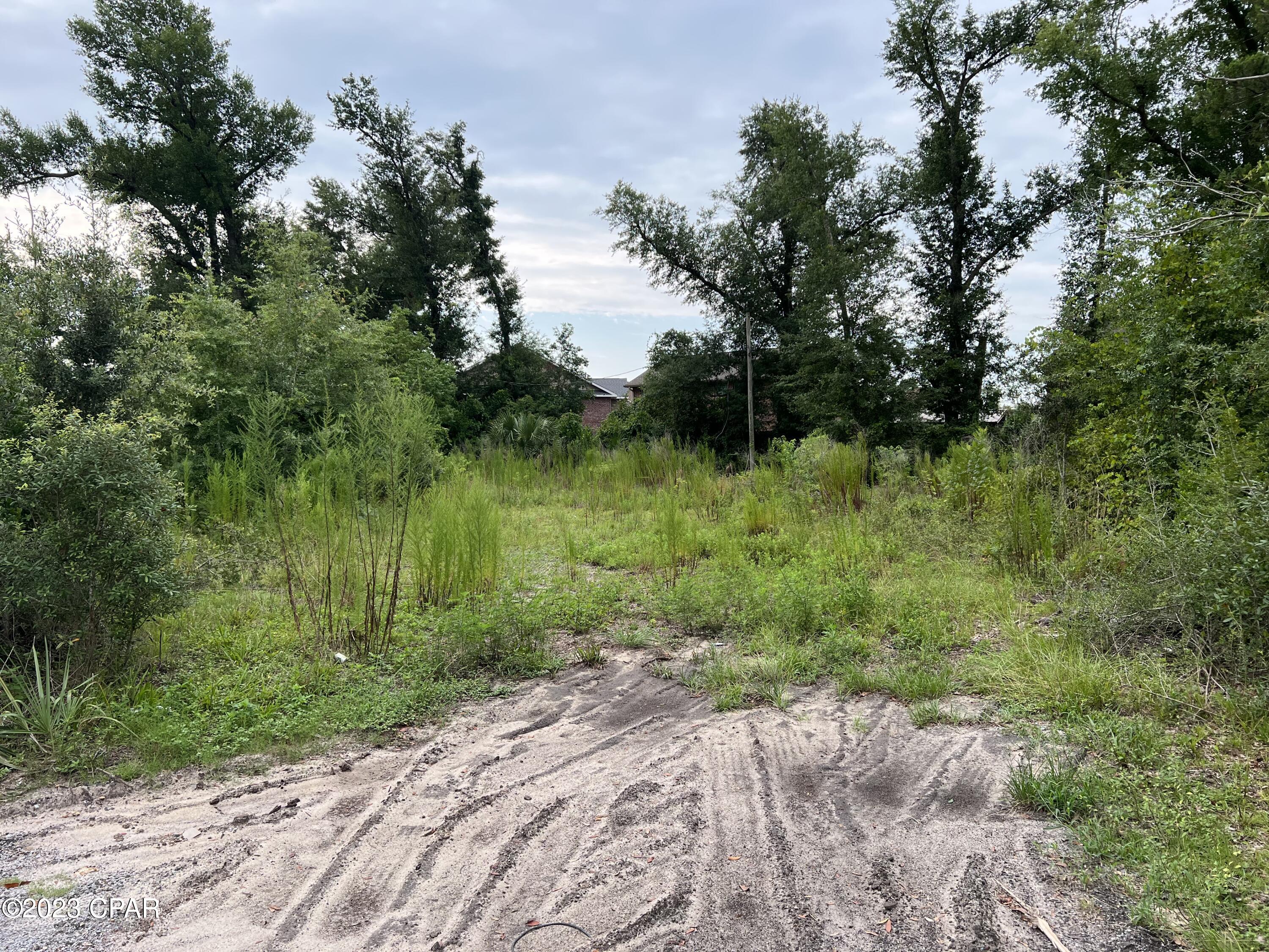 St. Andrews Bay Dev. Co. - Land