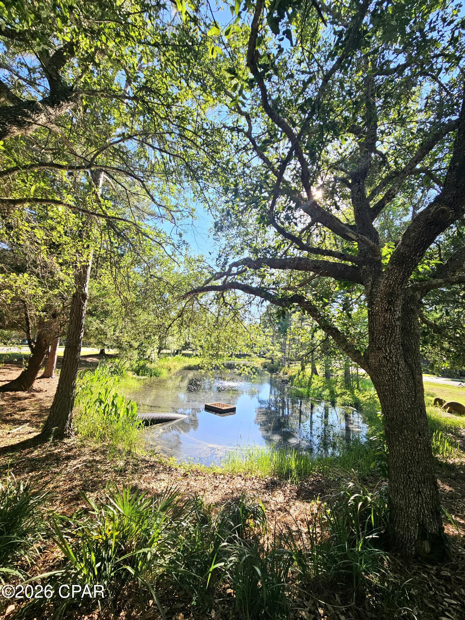 Exceptional opportunity to own in the prestigious gated community of Wild Heron. Spanning approximately .54 acres, this spacious lot offers the perfect setting to build your custom coastal retreat surrounded by natural beauty and upscale amenities.

Wild Heron is an exclusive coastal craftsman community located in West Panama City Beach and home to the Greg Norman-designed Shark's Tooth Golf Club, with memberships available for purchase. Residents enjoy resort-style amenities including a lakeside pool and hot tub, fitness center, lakeside grills, outdoor pavilion with fireplace, fire pit, playground, and scenic boardwalks along the shores of Lake Powell--Florida's largest coastal dune lake.

The community also features the Boathouse at Prospect Point, offering kayaks and canoes for resident use, creating the perfect balance of luxury and outdoor recreation.

Conveniently located near the beaches, dining, shopping, and 30A, Wild Heron continues to be one of Bay County's premier luxury communities.