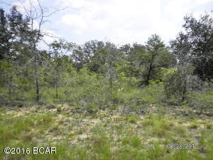 Own your own part of nature, this 33 ac is abundant with wildlife and has plenty of privacy for hunting or riding fourwheelers, plenty of privacy on the back roads of Liberty county, drive by today.