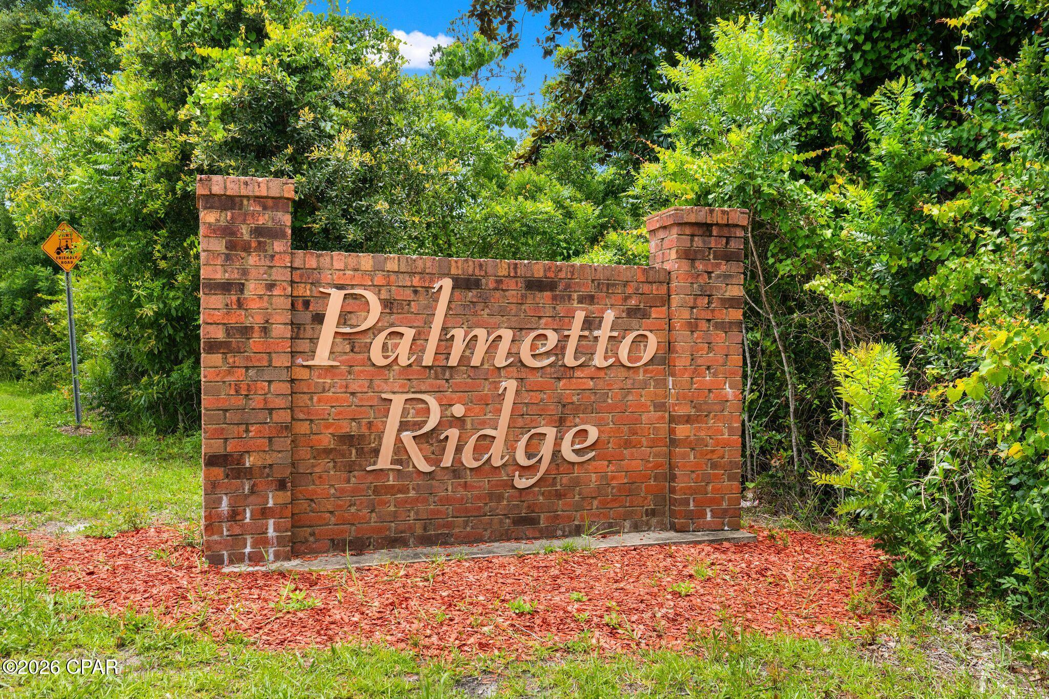 Palmetto Ridge - Residential