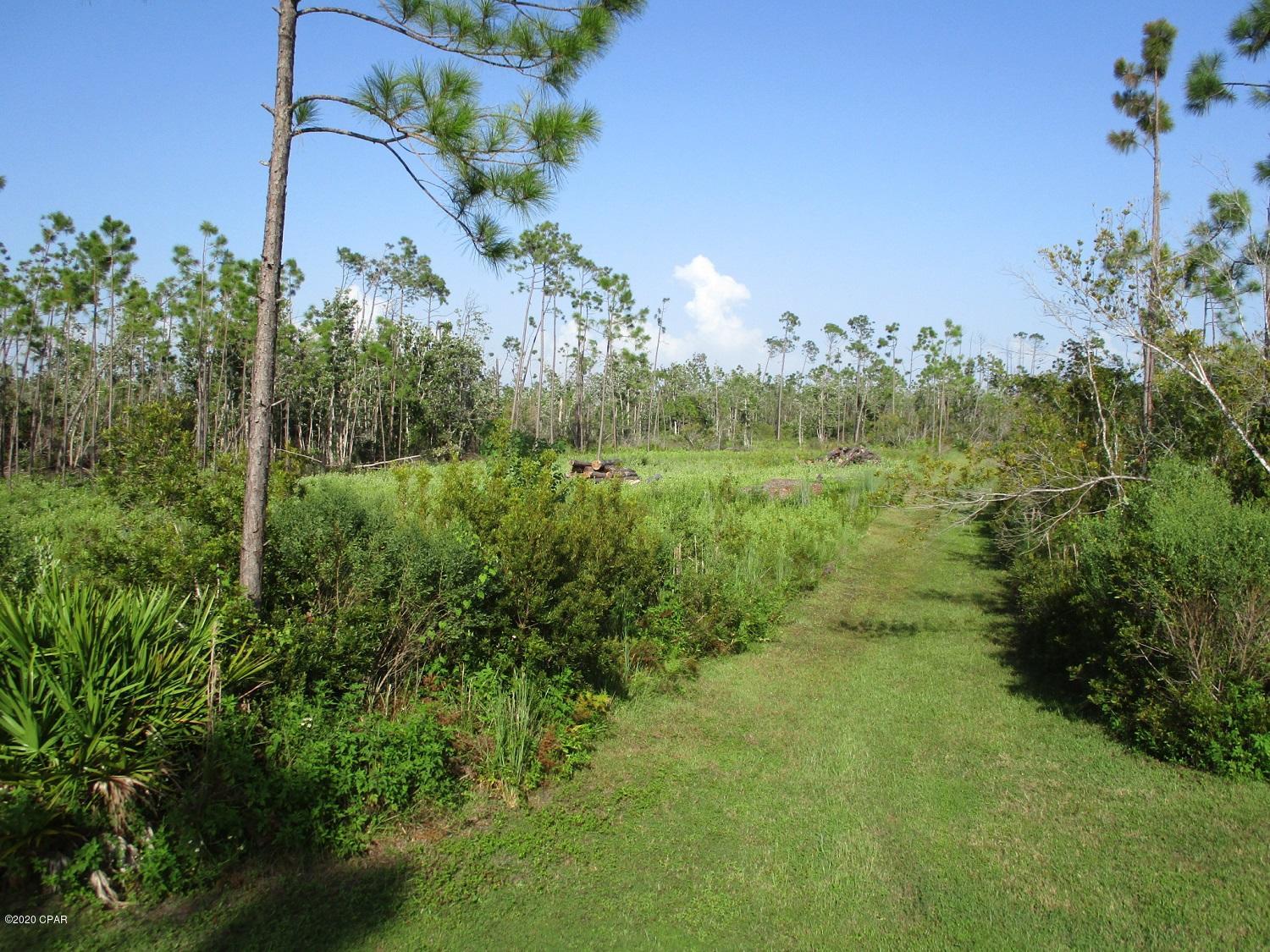 Laird Bayou - Land