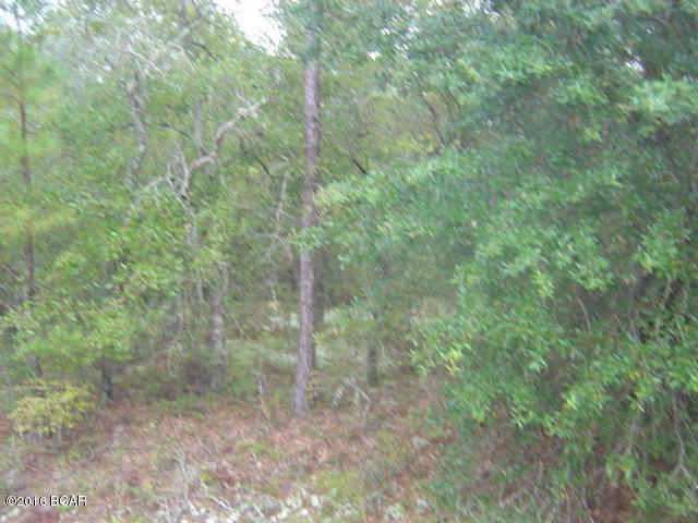 Excellent lot with all the amenities of CLH