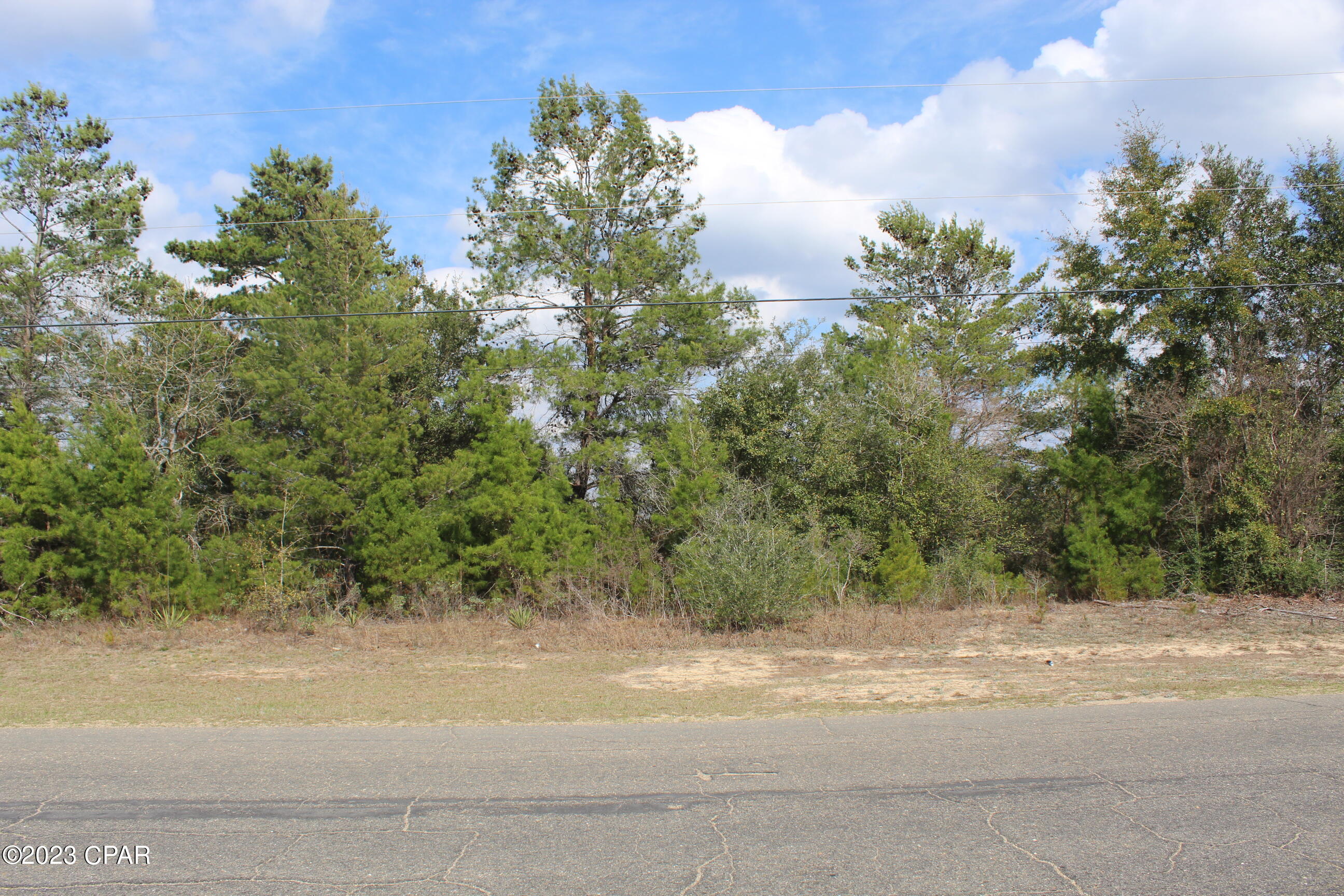 Two nice adjacent wooded lots. Great place to build your new home or invest for the future.  Sunny Hills offers golfing, fishing, boating and swimming.   It is located in the panhandle of Florida, about 45 minutes to Panama City and the Gulf of Mexico.