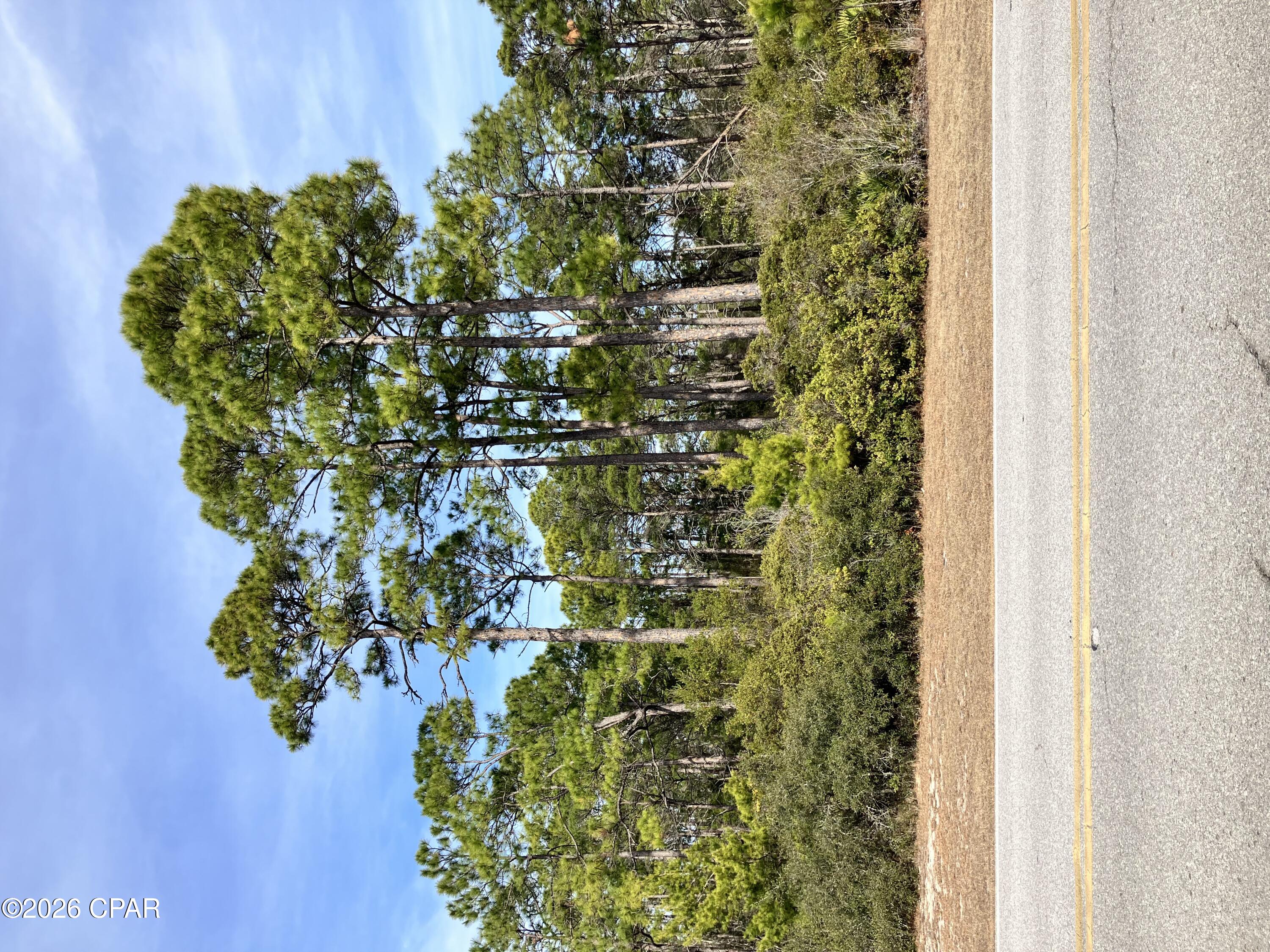 Rare Opportunity to own a large parcel of land on Wild Heron Way totaling 2.9 acres. Enjoy the view of scenic lake Powell just across the street. Lake Powell is the world's largest coastal dune lake, it's great for activities such as kayaking, fishing and paddle boarding. This location is minutes from 30A, South Walton and about 7 miles to Pier Park.  The Best part is NO HOA Fees. underground utilities are in place. Build your Dream Home today and subdividing this parcel may be possible as well.