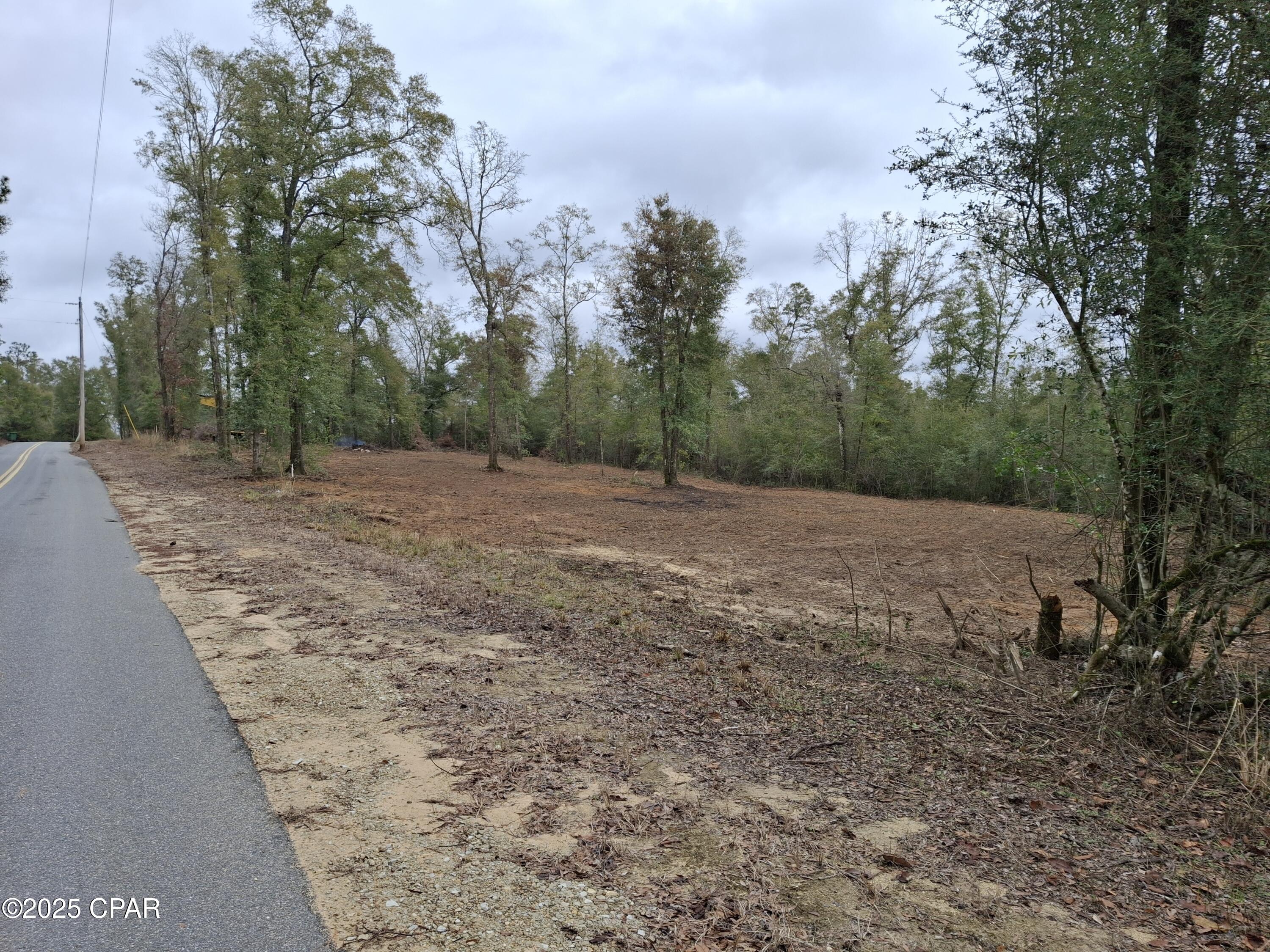 White Pond Plantation - Land