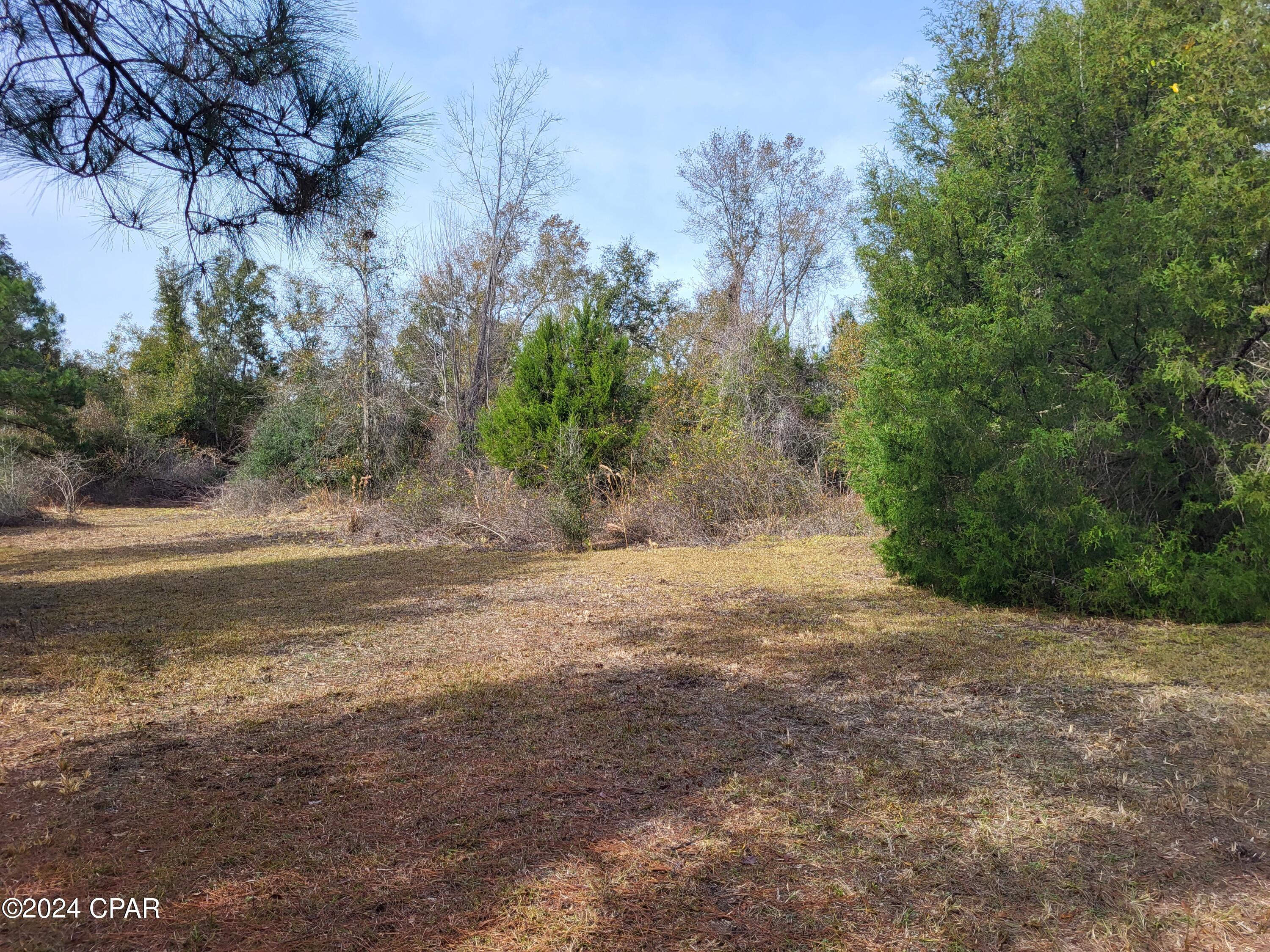 White Pond Plantation - Land