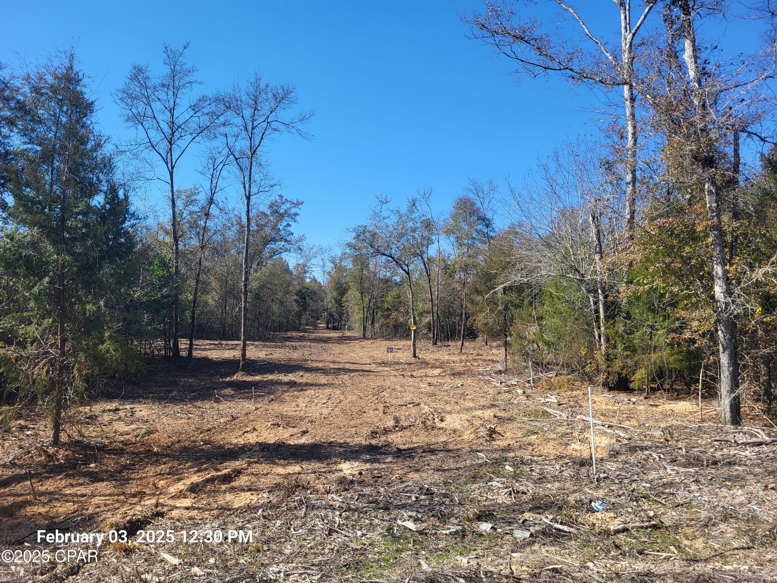 White Pond Plantation - Land