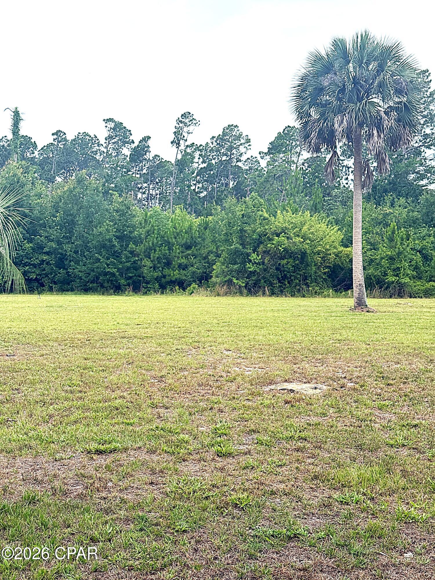 Site ready oversized 1/2 acre plus lots that are golf cart accessible to town, only an easy 3000' distance from St Joseph Bay. NO HOA, X Flood Zone on a major portion of the lot, high and dry with established grass, paved dead end street with no through traffic, water, sewer, electric, propane available and RV compliant. Lot is 3 to 5 times the size of comparable area lots and are priced below market. Lot is a portion of parcel ID # 06223-000R subject to division per the attached rendering. Final survey to be provided by owner. Some information was obtained via the Gulf County Property Appraisers Office, please verify if important.