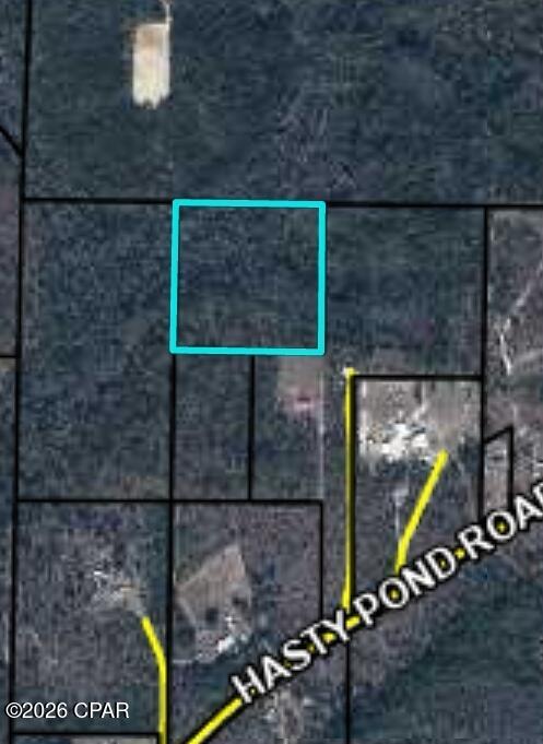 Discover the possibilities with this beautiful 10-acre wooded tract offering excellent hunting potential and the perfect blend of privacy and convenience. Located off Hasty Pond Road, this property provides a peaceful country setting while still being just one hour north of Panama City and the 'World's Most Beautiful Beaches.' Whether you're looking to build your dream home, create a private weekend retreat, or enjoy your own secluded getaway, this property offers endless opportunities. Don't miss your chance to own a slice of quiet country living.