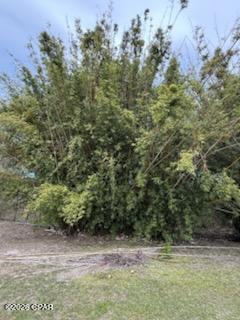 Panama Pines - Land