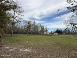 Panama Pines - Land