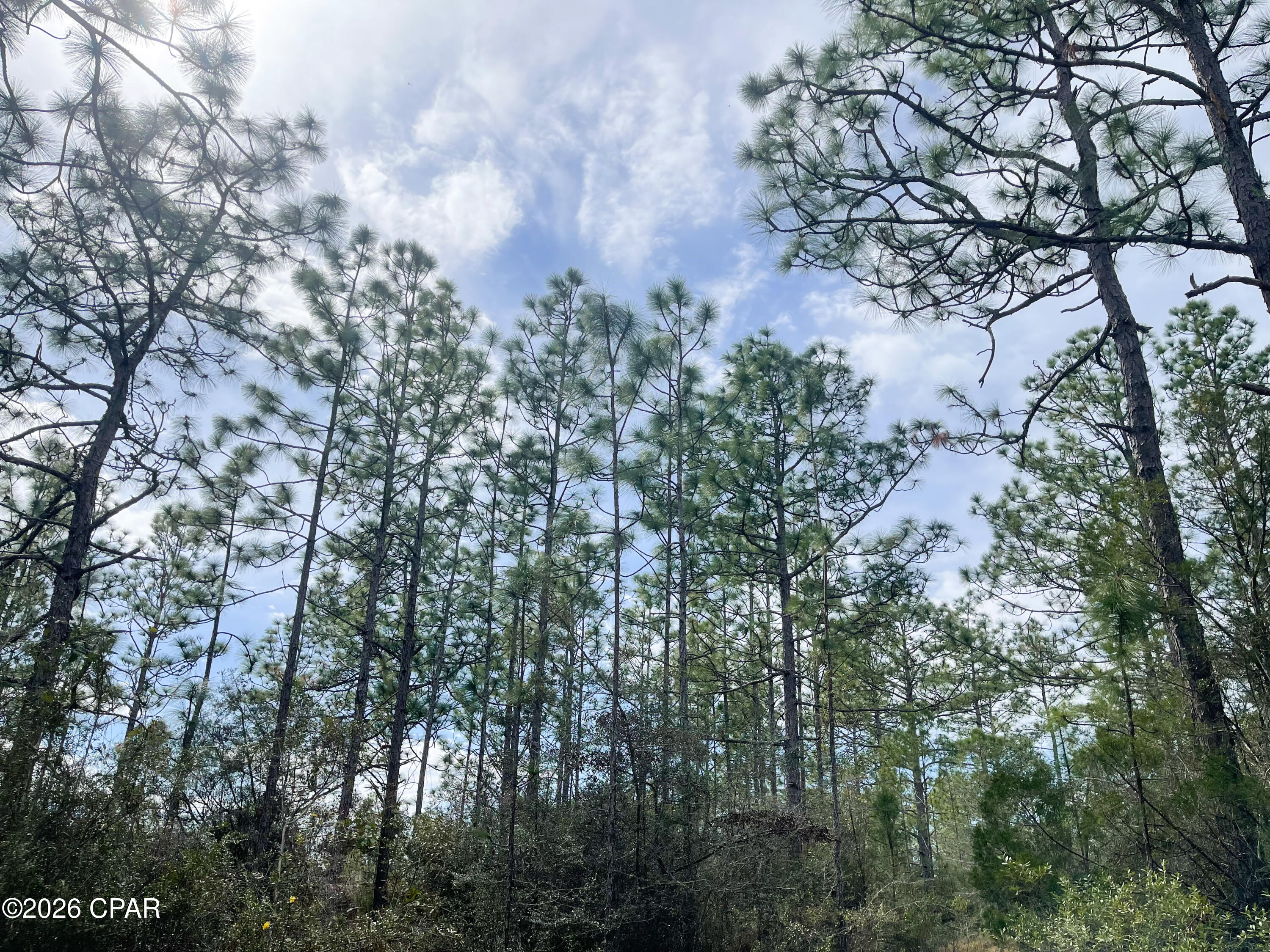 Discover the perfect blend of privacy and convenience with this 20± acre parcel located just off County Road 167. This versatile property offers multiple ideal locations for a dream homestead, peaceful retreat, or hunting cabin.
An established trail system winds throughout the land, making it perfect for horseback riding, hunting access, or ATV adventures. The landscape features mature pine trees, creating a beautiful setting for a future homesite while still offering plenty of room for recreation or small-scale farming.
Whether you're looking to build, set up a mobile home, or simply enjoy a private getaway, this property delivers the space and flexibility to match your vision. Additional acreage is available, providing an opportunity to expand and maximize your investment.  Call today for more information or to schedule your private showing.
Key Features:
*Trail system throughout property
*Abundant wildlife
*Easy access to major roads/interstate
*Interstate I-10 - 9 miles
*Marianna, FL - 11 miles
*Panama City, FL - 40 miles
*Dothan, AL - 47 miles