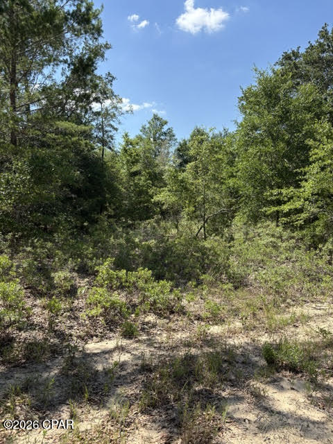 Discover 3.33 acres of high-and-dry, wooded land in the Florida Panhandle, featuring beautiful oak and pine trees and endless potential for your dream homesite. Tucked away near the end of a private road, this secluded property offers privacy while remaining conveniently located for easy travel to Dothan, Alabama, and south to Panama City and the Gulf Coast beaches. With selective clearing, the property could accommodate horses and other farm animals, making it ideal for a homestead, hobby farm, or country retreat. An additional adjoining 3.33-acre parcel is also available for purchase, providing even more possibilities. Bring your vision and create the lifestyle you've been dreaming of on this versatile and well-located property.  Property to be surveyed out of the parent parcel and will be provided a deeded easement.
