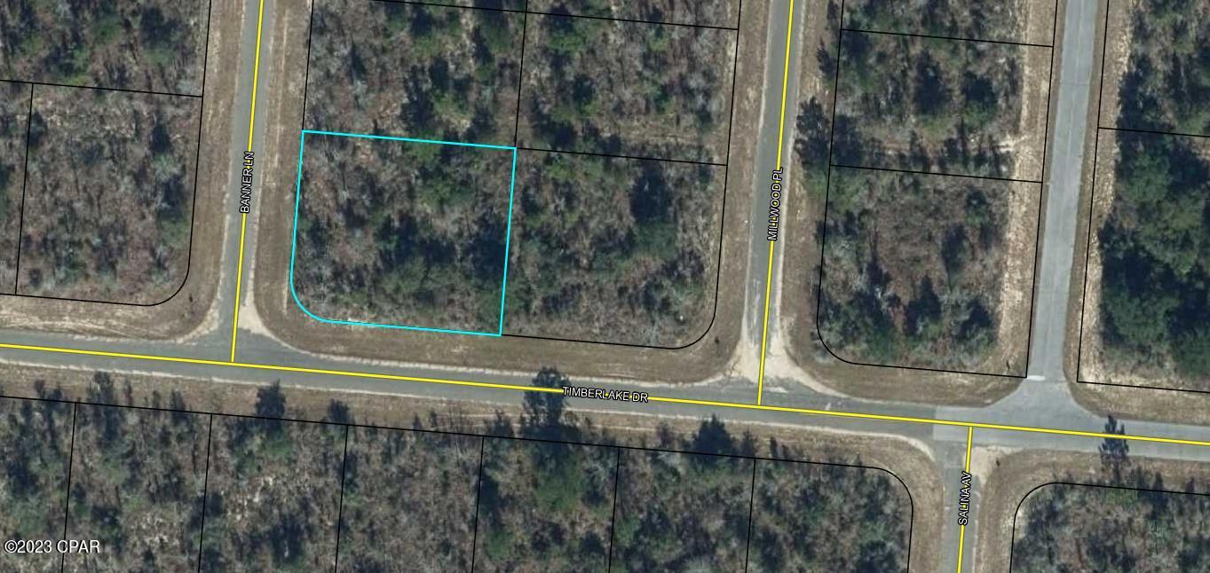 GREAT BUILDING PARCEL that's been left to its original Plush Green Florida Landscape. That means YOU have the ability to choose which trees stay and which ones go. Choose where you want your home built and even where your driveway goes. The Sunny Hills community has places to swim, golf, bike, hike and it has some of the best Fishing Spots on the planet !!! Location is perfect to escape the busy life in this quiet community. But if you ever miss it, Excitement is just a short drive away with The Worlds Most Beautiful Beaches Panama City Beach, Famous Pier Park Shopping, Tyndall Air Force Base and the Marianna Caverns. Cool Deep Water Springs are just minutes away along with several State Parks. Purchase this parcel to build on now or for a future investment. Also makes a great gift.
