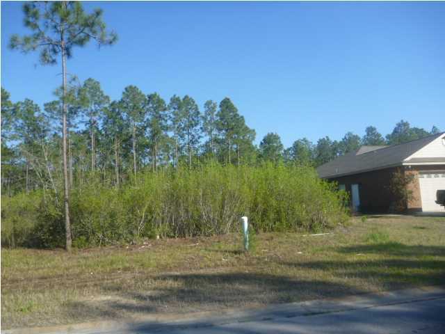 BUILD YOUR DREAM HOME IN CAMRYN'S CROSSING!! Total of 5 lots available on a street that ends with a cul-de-sac! Perfect for raising a family! Find your own builder, or the owner can also build you a beautiful home. Family friendly neighborhood, close to schools, shopping and restaurants. All measurements are estimates. Please measure if concerned. For planning purposes, the setbacks are: Front 20', Rear 20', Sides 6'.
