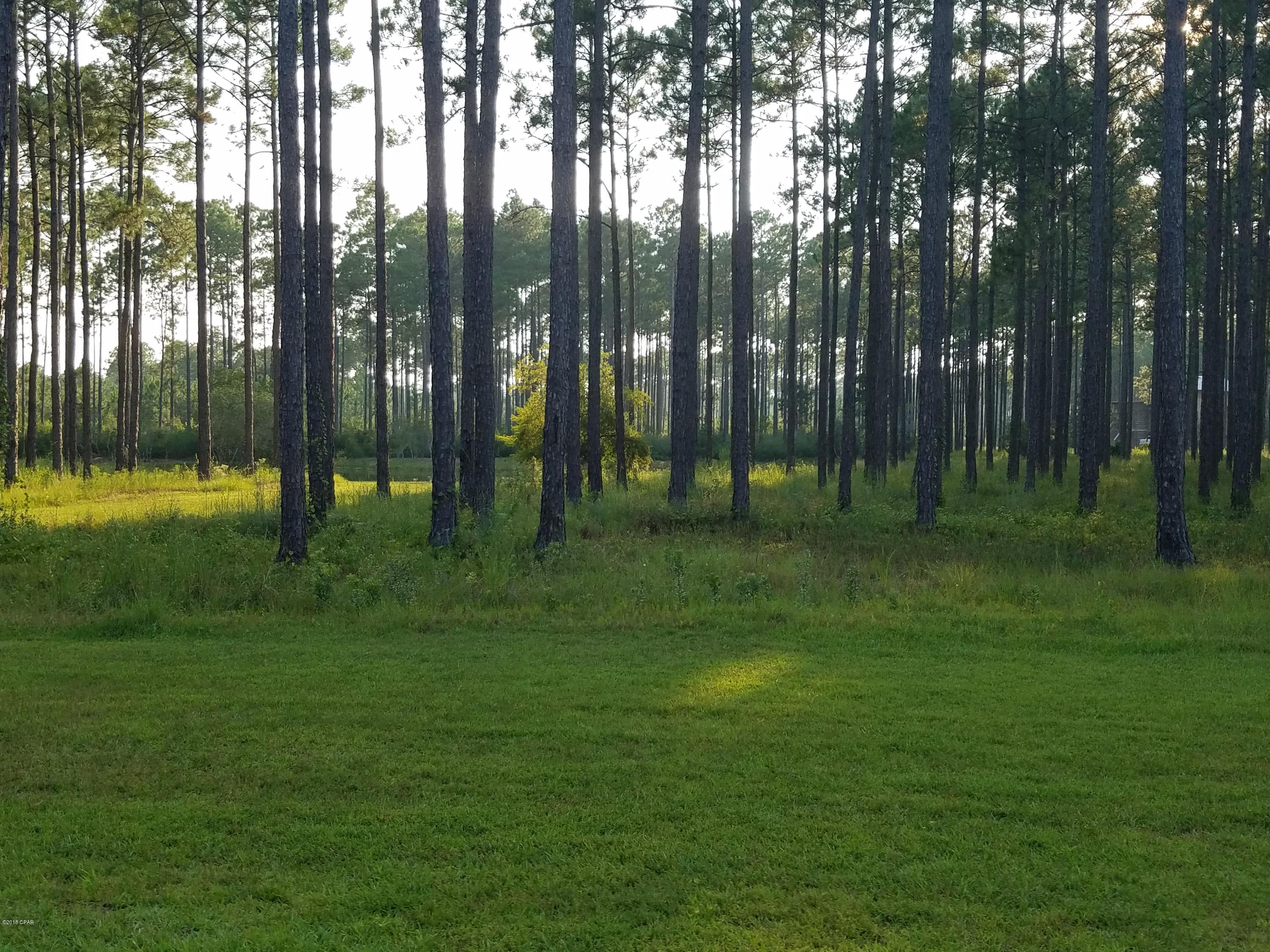 Rivercamps On Crooked Creek Ph 3 - Land