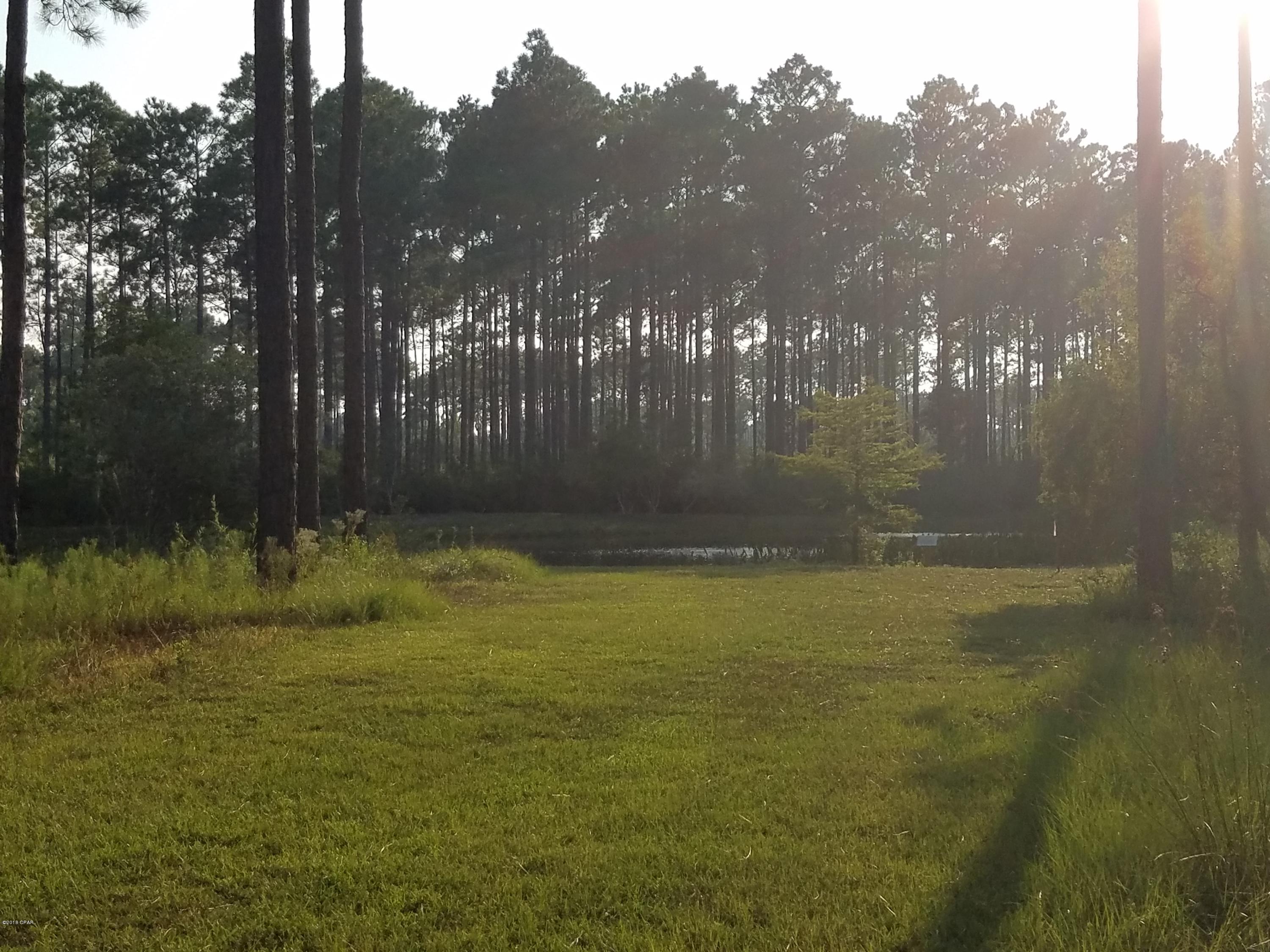Rivercamps On Crooked Creek Ph 3 - Land