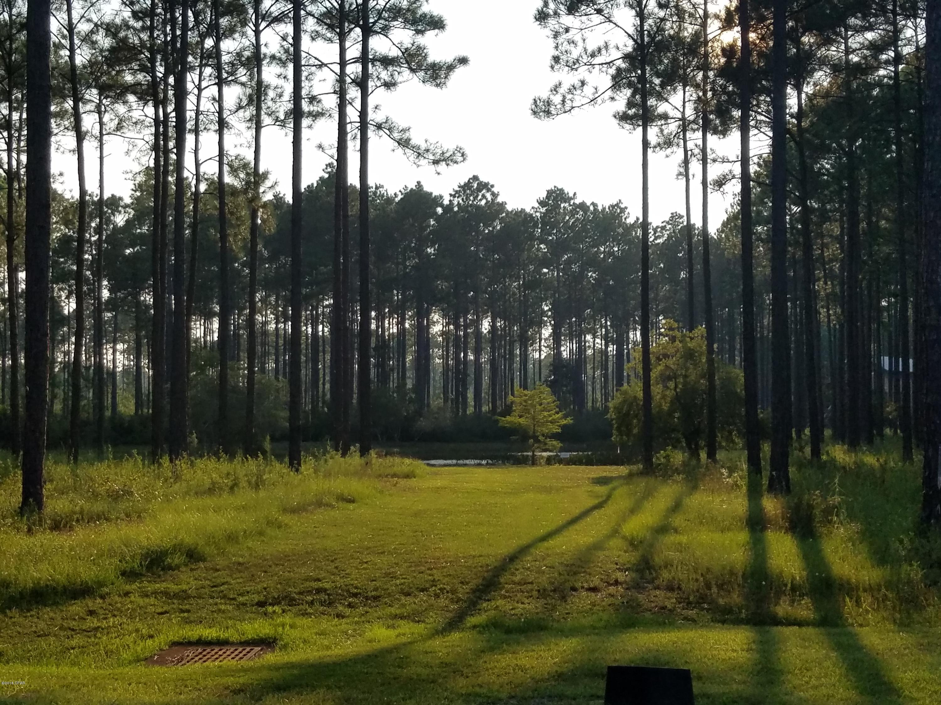 Rivercamps On Crooked Creek Ph 3 - Land