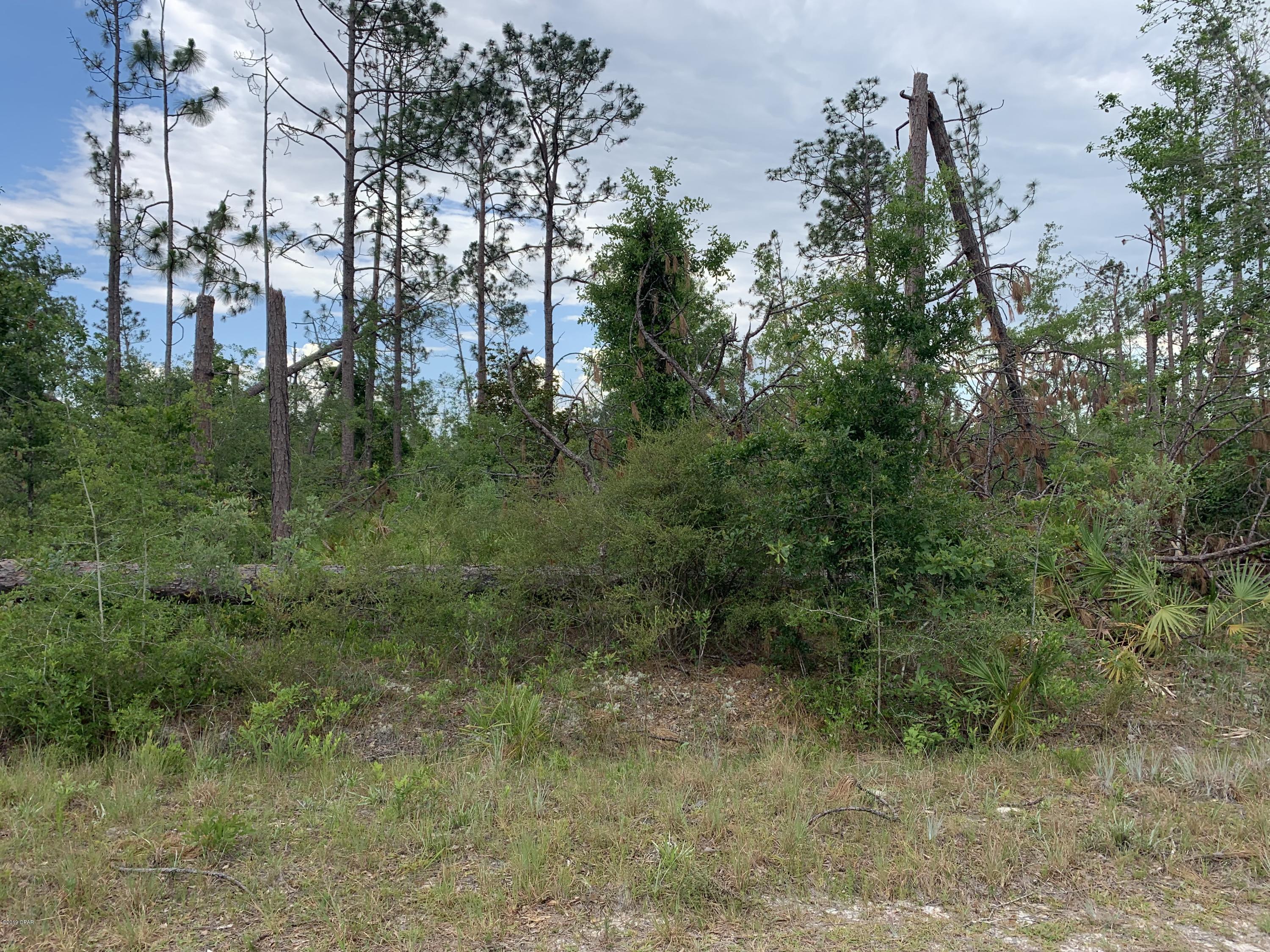 Pinecrest - Land