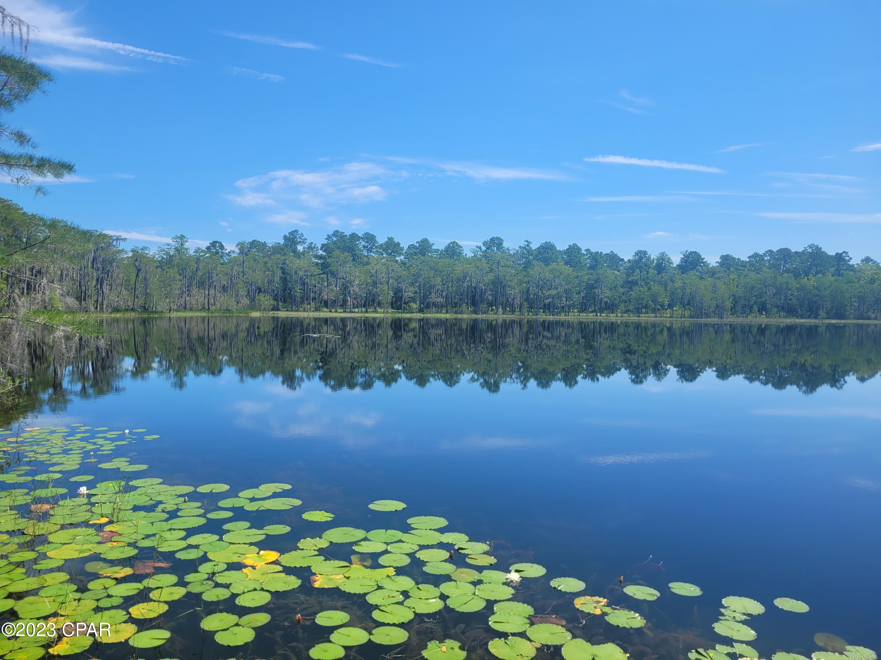 Paradise Lakes - Residential