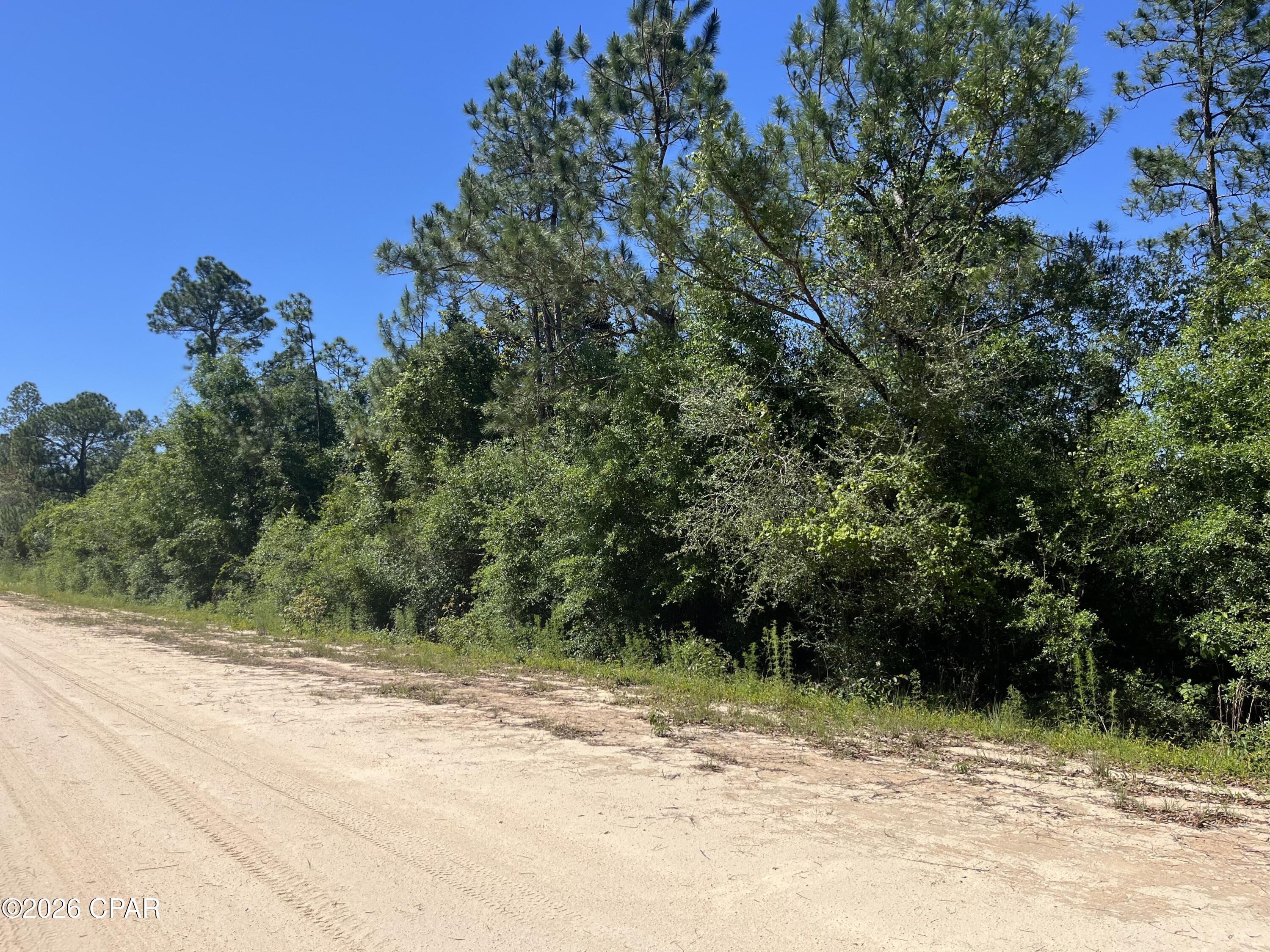This 1+/- acre untouched lot offers the opportunity for secluded rural living. Clear it and build your dream home or use it as your private getaway.