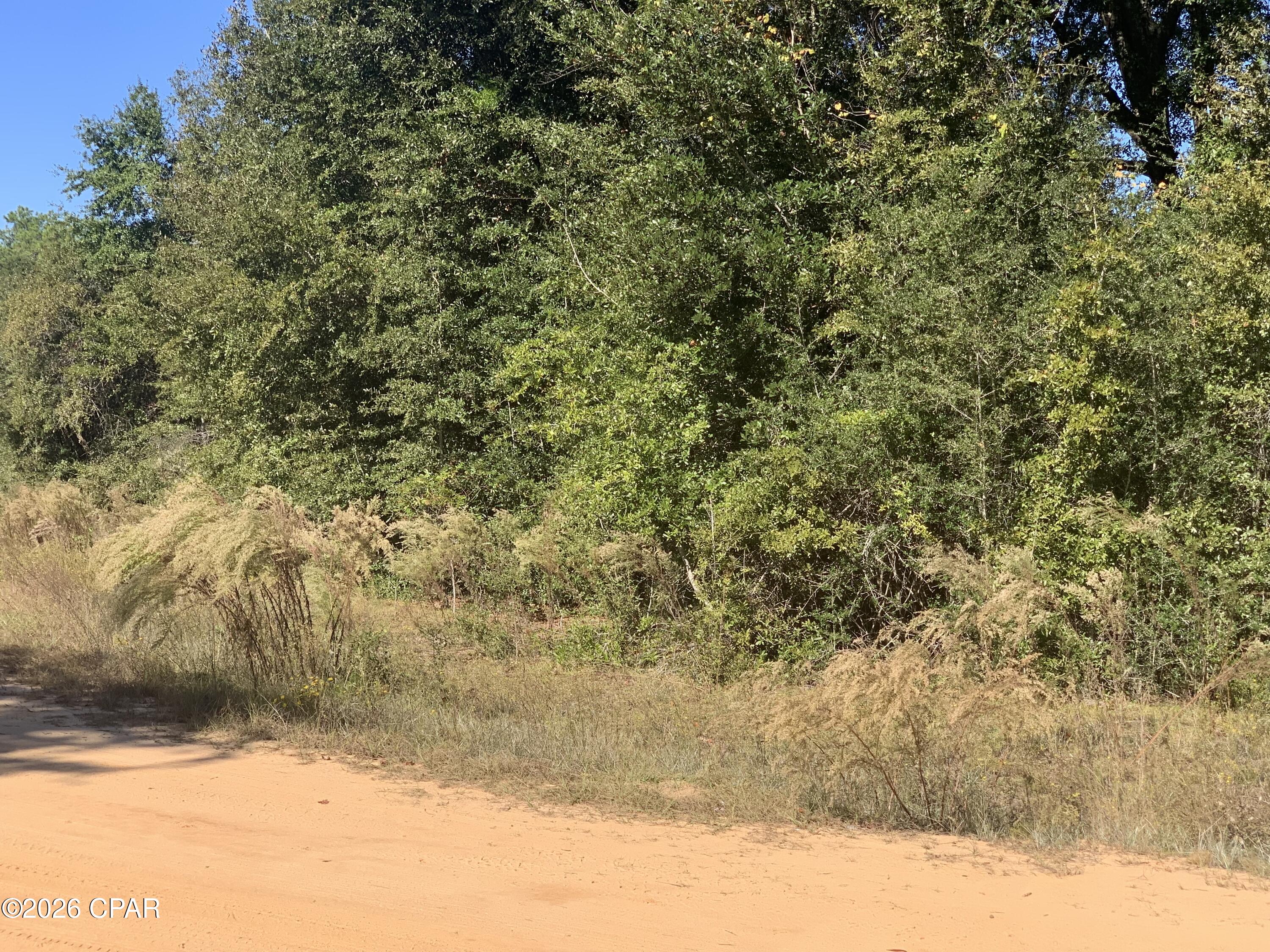 1.3 acre corner lot at Compass Lake in the Hills. Great spot to build a weekend getaway home or that home with lots of quiet time. Compass Lake in the Hills is a  little off the beaten path with lots to offer! Disk golf, golf driving range, swimming pool, RV Park, furnished cabins for camping and an onsite  restaurant (Ollie's Restaurant) and check out the other nearby areas to visit.

•Florida Caverns State Park - Underground cave diving.
•Merritt's Pond & Jackson Blue Springs - spring fed reservoirs famous for cave diving, underground cave tours and kayaking.
•Falling Waters State Park - Florida's tallest waterfall with 100 feet drop into a sinkhole.
•The Chipola River - Famous for canoeing, lazy floats, and arrowhead searches.