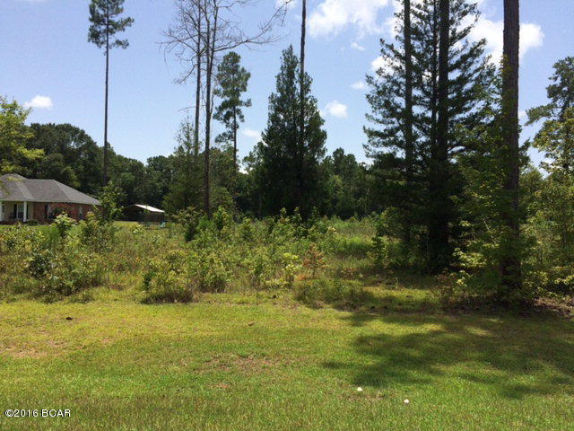 NICE LOT OFF FALLING WATERS ROAD TO BUILD YOUR DREAM HOME.