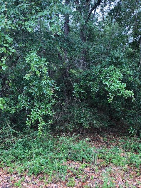 Compass Lake Hills Unit 2 - Land