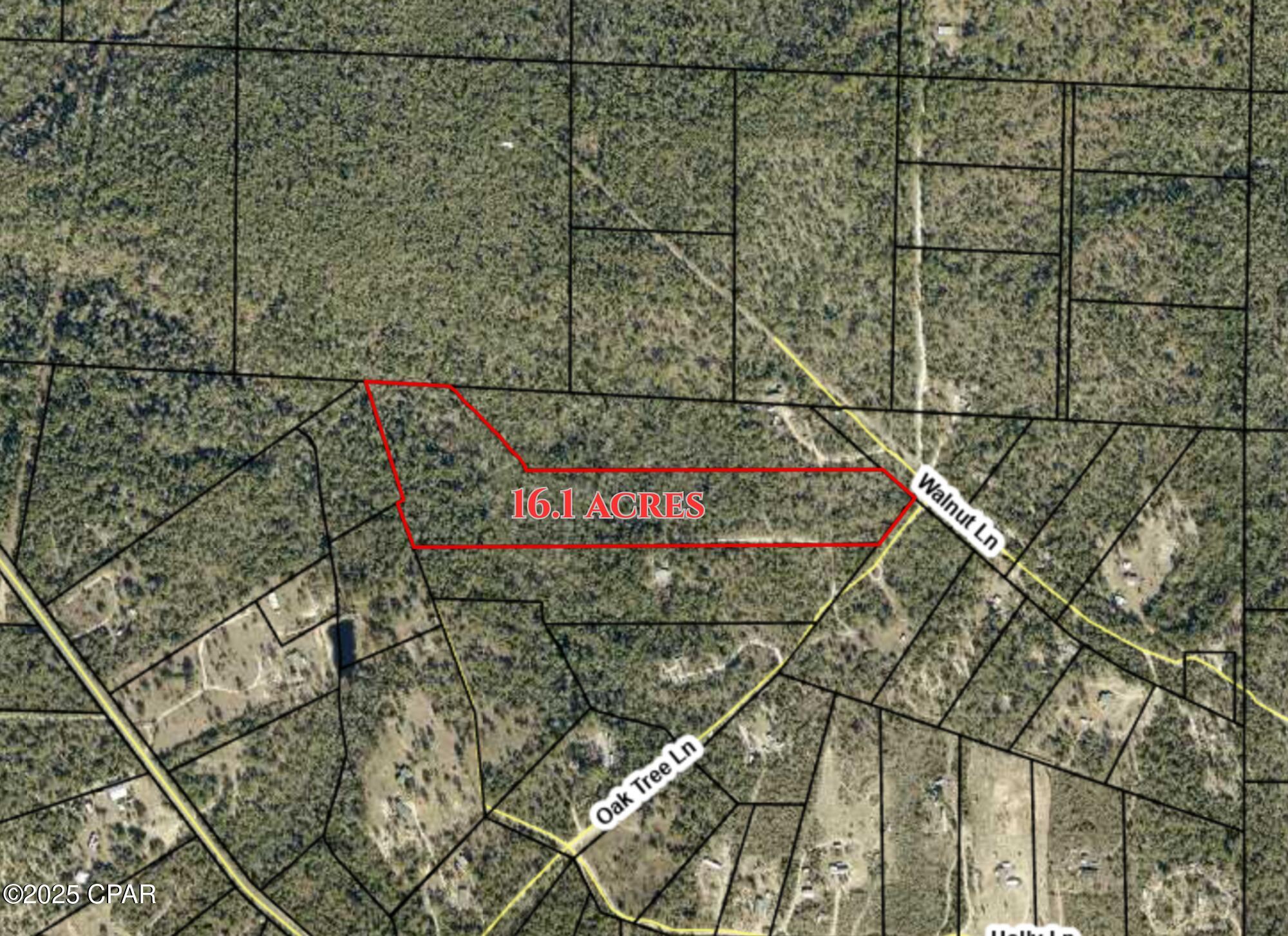 CURRENTLY UNDER CONTRACT, SELLER WILL CONSIDER BACKUP OFFERS'
16.1 Acres - Unique Corner Lot, Corner of Oak Tree and Walnut. 
Aviation enthusiasts, take notice! This 16.1-acre corner property in Fountain offers a rare opportunity to own land that's as unique as it is spacious. From above, the lot's natural outline resembles a Boeing 747--making it a true standout for any plane lover.

Approximately 9 acres are outside the flood zone and ready for development, while about 7 acres fall within Flood Zone A, ideal for open space, recreation, or creative landscaping. With its prominent corner location, this parcel offers excellent visibility, accessibility, and potential for a variety of uses.

Whether you're seeking a one-of-a-kind homestead, a distinctive investment property, or simply land with personality and character, this acreage delivers.