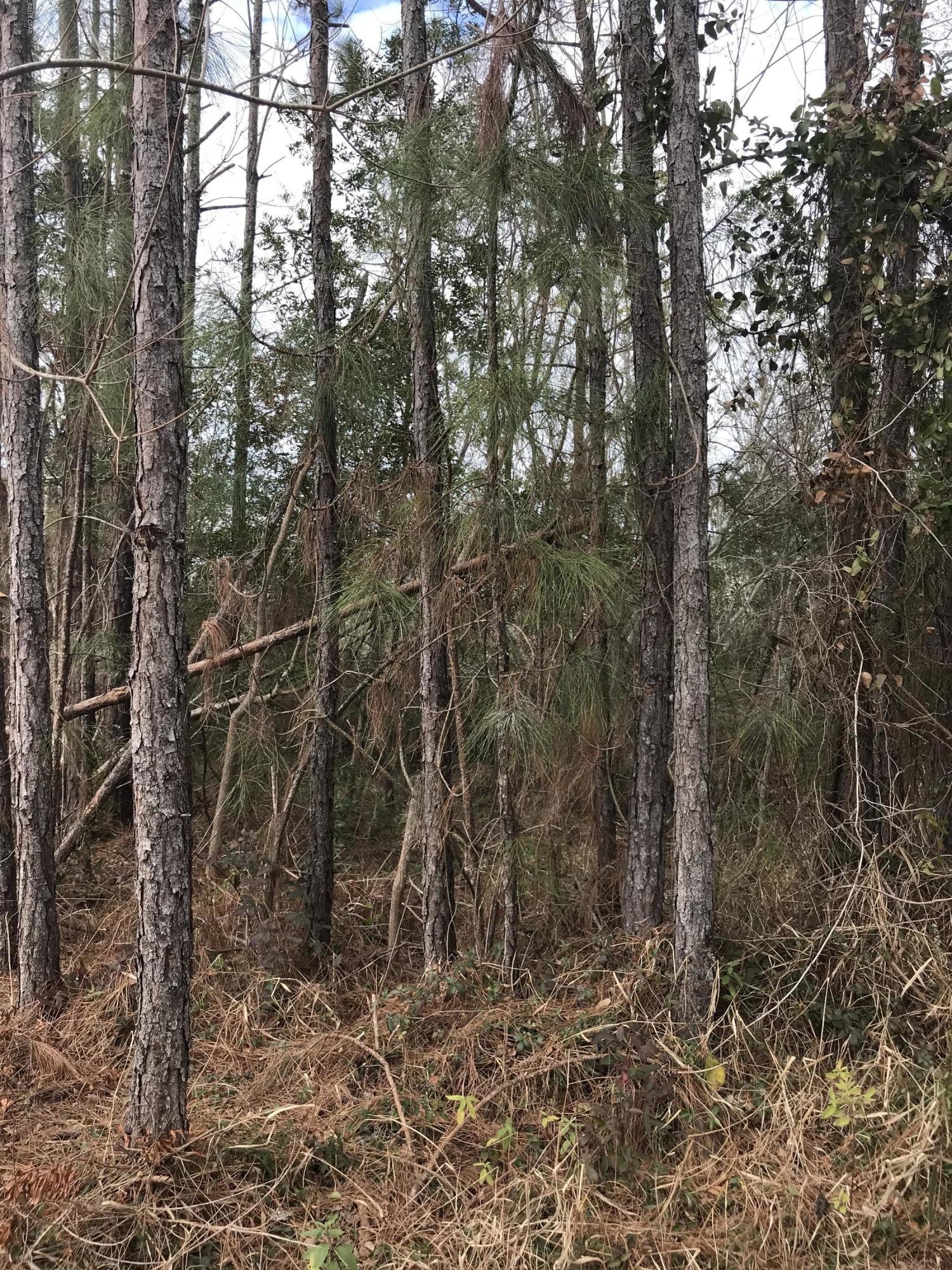 Inlet Beach Heights - Land