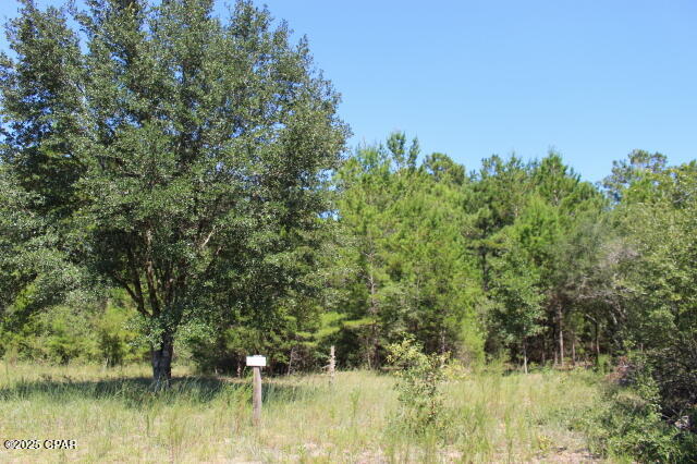 Compass Lake Hills Unit 2 - Land