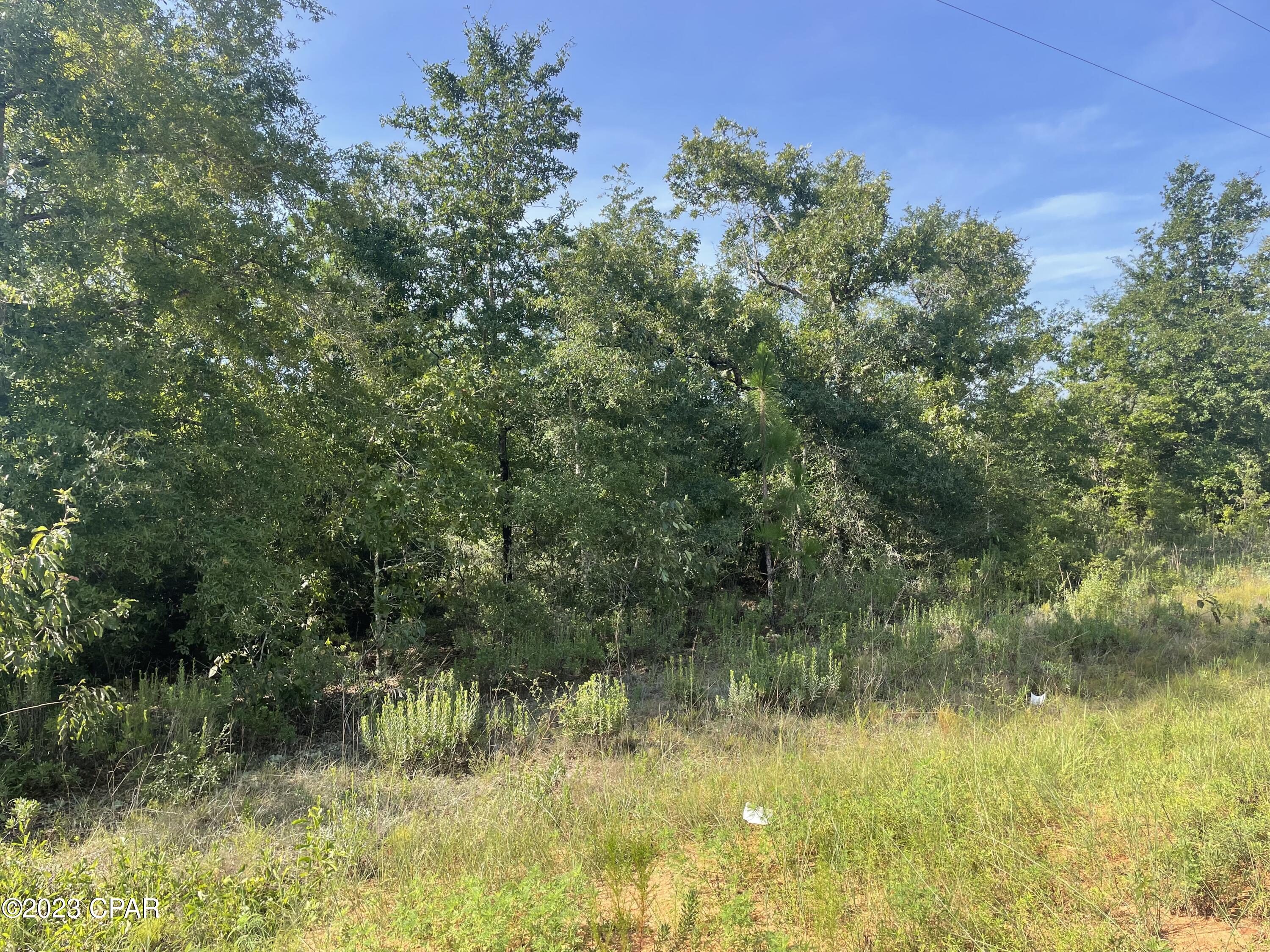 Compass Lake Hills Unit 4 - Land