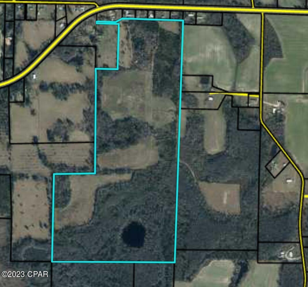 Private country setting with this 128.31 acre +/- parcel.  Not far from town or Hwy 231 for access to Panama City or Dothan, AL. Pick your home site. There is an existing well, septic, and power pole. Property is a mix of pasture and wooded areas. The pond in the back of the property has fish. Property needs some clean up as there are trees down from a storm. Tiny home does not convey. The new owner has to allow the current farmer to finish his crops.