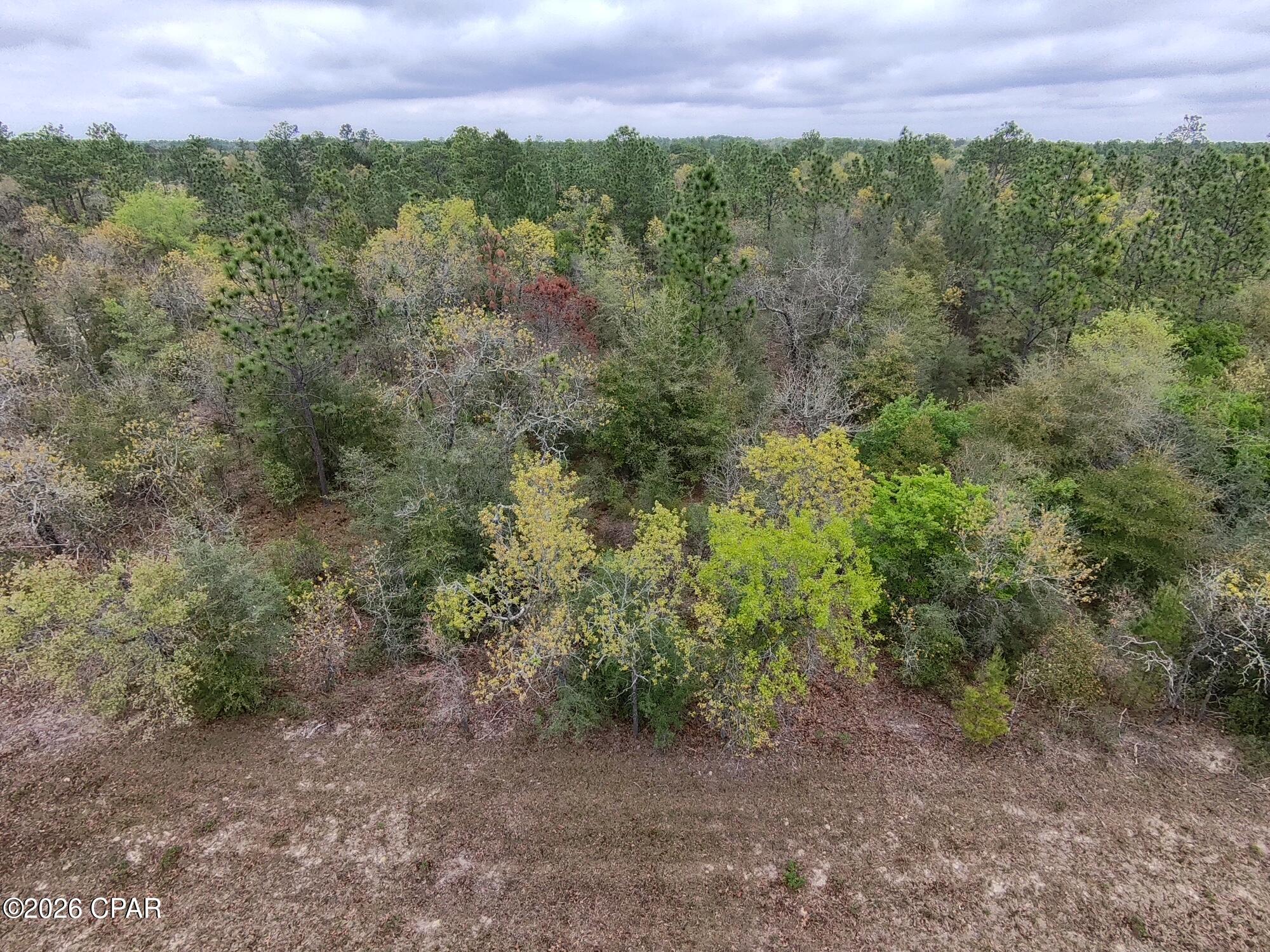 Attention LAND BUYERS, INVESTORS & HOMEBUILDERS looking for a fantastic building lot.... check out LOT 5 on Weller Street! This is a great investment lot in Sunny Hills unit 5. Located real close to HWY 77 and everything Sunny Hills has to offer. This is an excellent opportunity to buy a 1/4 of an acre lot in an area of the community with existing homes and also some new construction. Take a look at the price and compare to other 1/4 acre lots currently listed for sale and you will see that this is a great deal. Sunny Hills continues to attract buyers due to its convenient access to Highway 77, with Chipley to the north and Panama City and the Gulf Coast beaches to the south If you're looking for a competitively priced investment in a booming Northwest Florida community, this lot deserves your attention.