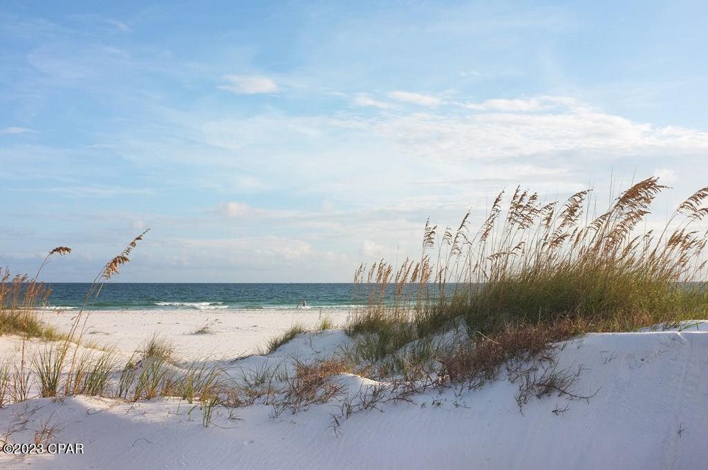Seagrass - Land