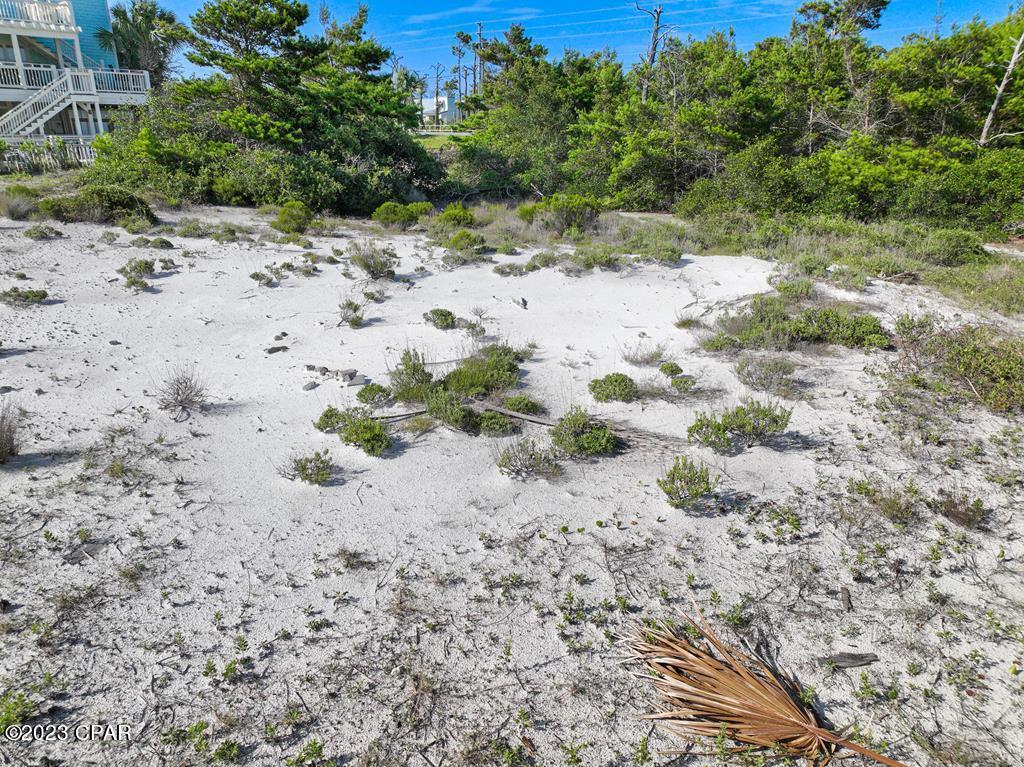 Seagrass - Land