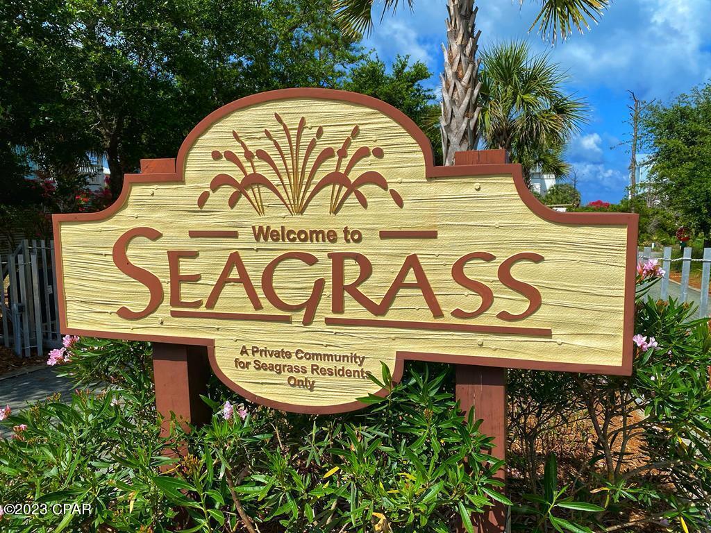 Seagrass - Land