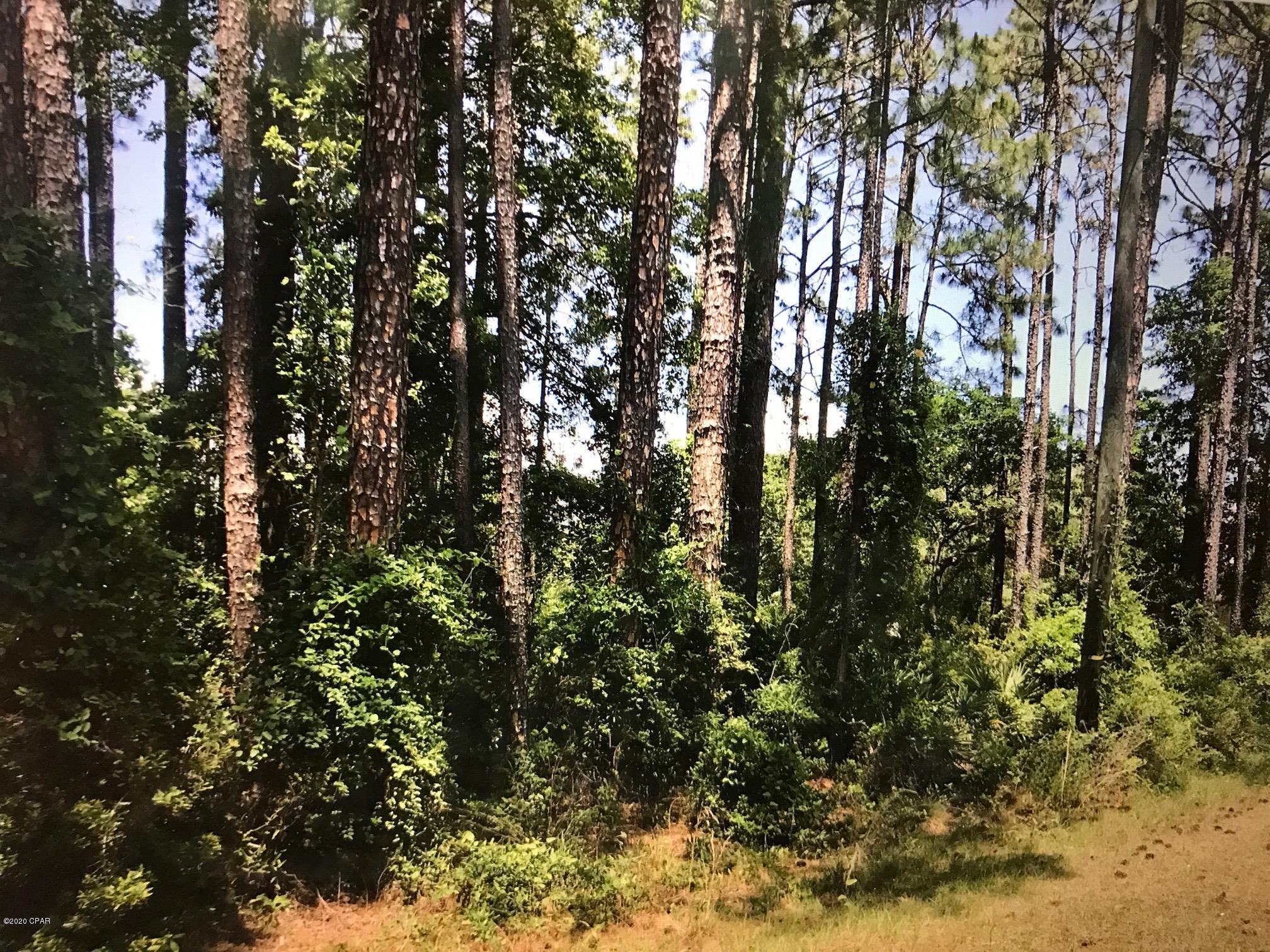 50 Acres  of flat and dry land.   Stratgically located between the state park and Hwy 77.  less than 1/2 mile to I-10.  Prime location for new residential development or commercial use with proper zoning.