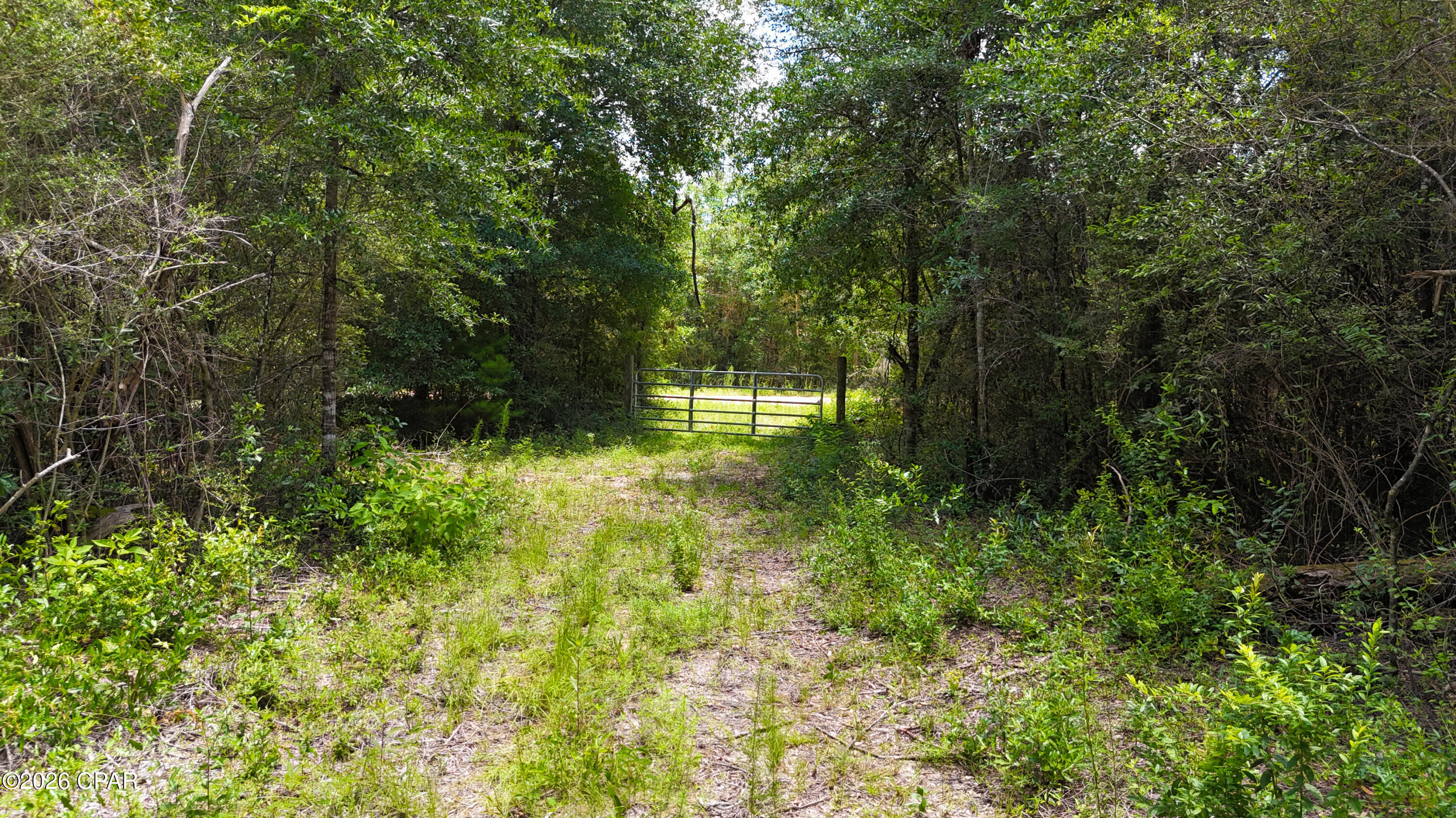 Don't miss this incredible opportunity to own 5 Acres of vacant land just off of HWY 231. This parcel offers easy access and endless potential- ideal for your dream home or investment project. Located in a peaceful rural setting, yet just a short drive to Panama City. EASY SELLER FINANCING available, making this the perfect chance to invest with flexible terms. Whether you you're looking to build now or hold for the future, this property checks all boxes!