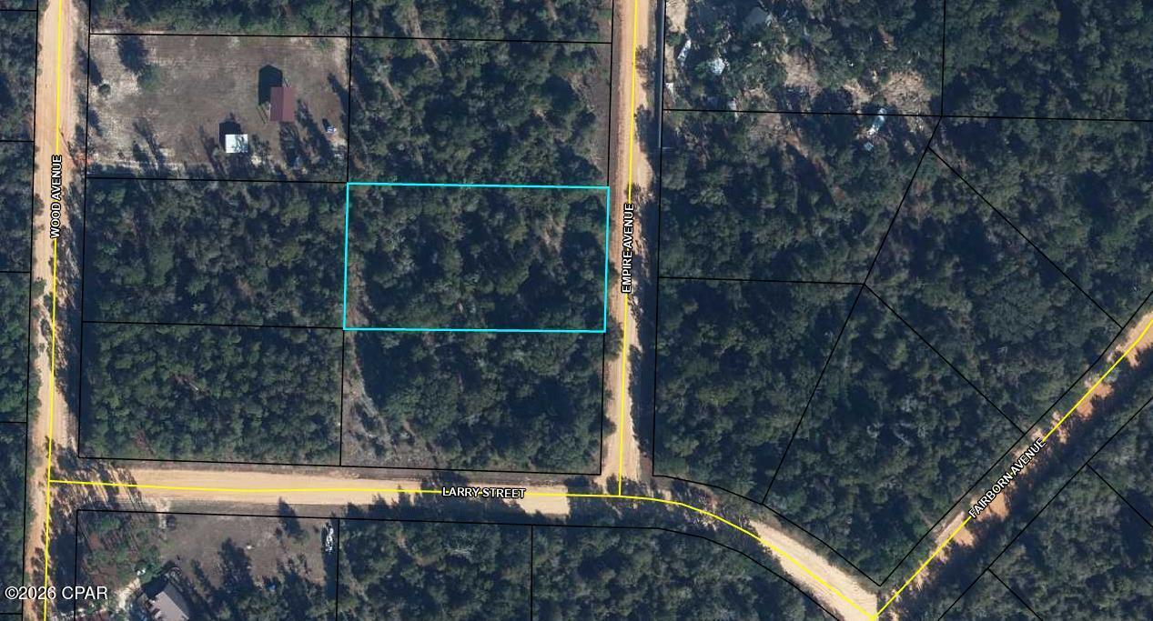 Discover the perfect canvas for your dream retreat! This expansive 1.16-acre lot is nestled in the desirable Compass Lake in the Hills community in Alford, FL. Offering a harmonious blend of privacy and natural beauty, this high-and-dry property is situated on a quiet stretch of Empire Avenue, providing ample space for a custom home, workshop, or garden oasis.

As part of the Compass Lake community, you'll enjoy access to incredible amenities including private lake access, a clubhouse, and recreational facilities. Whether you're looking to build now or invest for the future, this 'as-is' lot offers the quintessential Florida Panhandle lifestyle. Don't miss your chance to own a piece of Jackson County's natural charm!