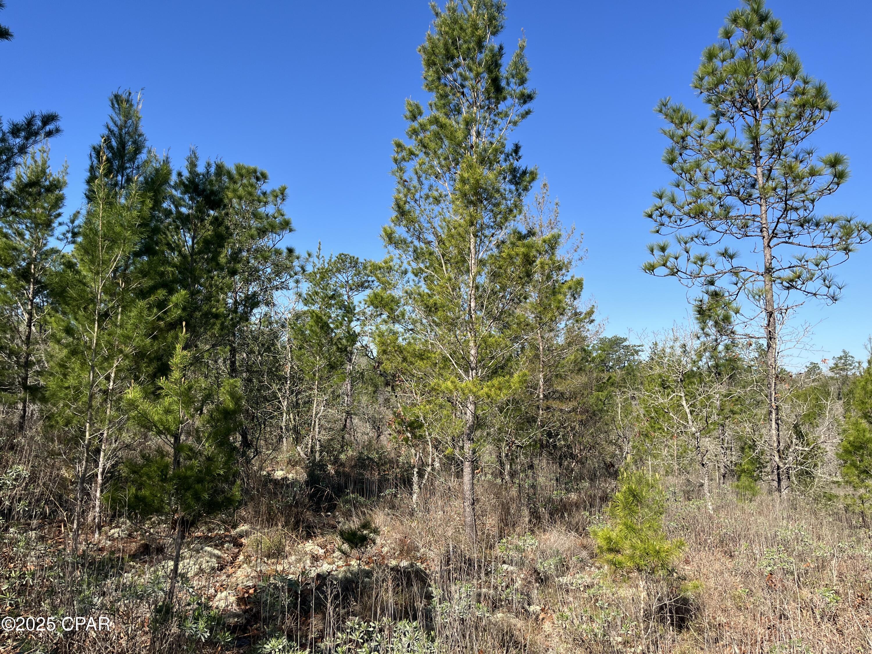 Oversized building lot located in the growing Sunny Hills community ready for you to bring your building vision! Placed in Unit 1 of the community, this lot is a short drive to Highway 77, boat lake, and the main boulevards. Behind the property is Deltona green space. For nature lovers and outdoor enthusiasts, Gap Lake has great fishing and is not too far away either, it is an 800+ acre freshwater paradise. Enjoy serene views of majestic cypress trees and experience excellent fishing opportunities right in your neighborhood. Additionally, a county boat ramp on Gap Lake makes for easy access to all your water adventures. Sunny Hills is a growing golf course community with a lot of new construction happening. It's ideally situated just under 30 minutes from both Chipley, Lynn Haven, and the airport- offering the best of both worlds: a slower, laid-back lifestyle while still being close to city amenities. Plus, you're less than an hour away from the white sands of Panama City Beach! Sunny Hills also offers many freshwater lakes for fishing and boating and also a swim park at spring-fed Boat Lake for seasonal fun. This deed-restricted lot is reserved for building only, ensuring a well-maintained community without the burden of HOA fees. Enjoy the tranquility and convenience of life in Sunny Hills! Buyer to do their own due diligence about getting utilities on the property. Buyer to pay for title fees/title policy.