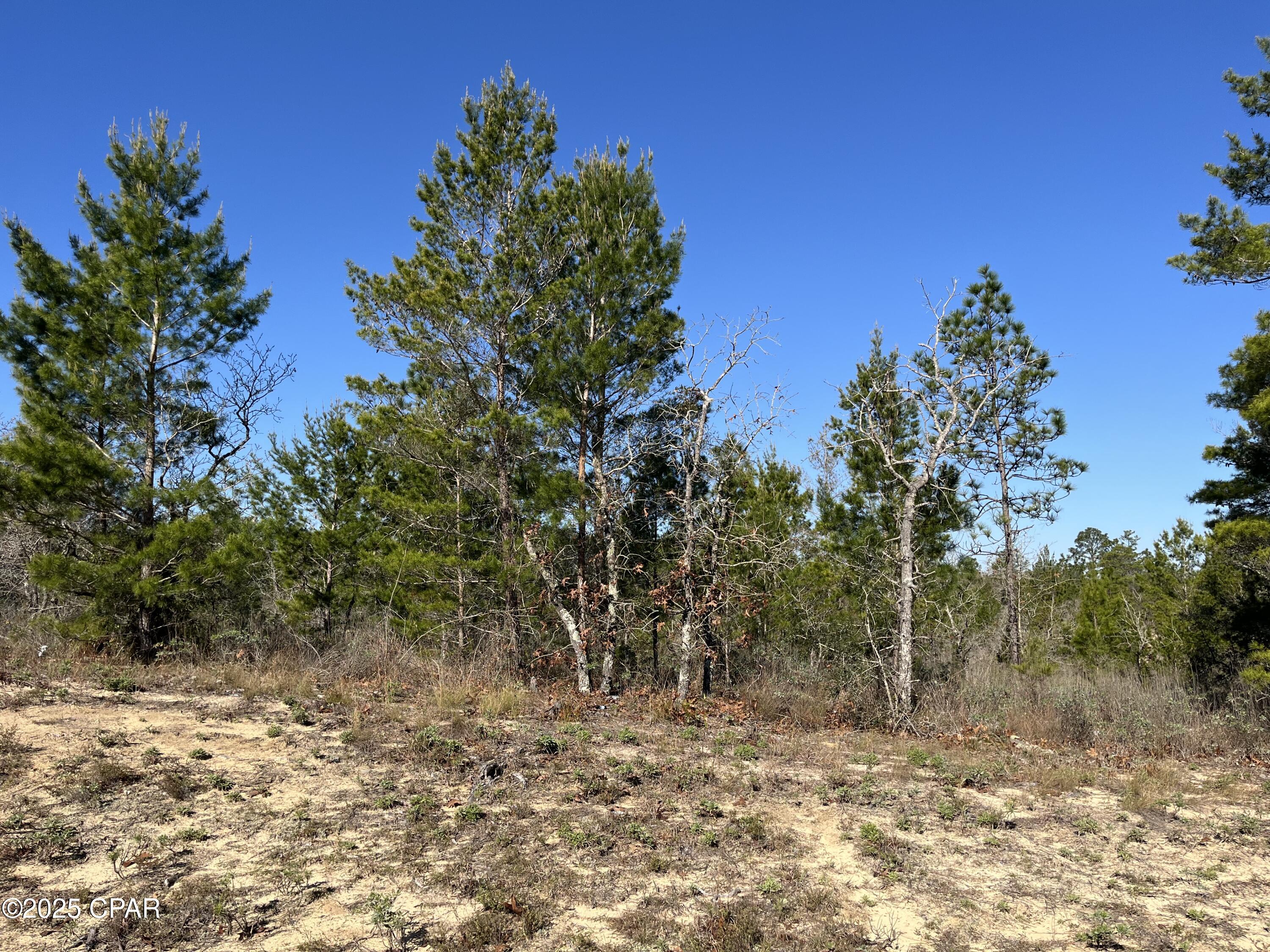 Sunny Hills Unit 1 - Land