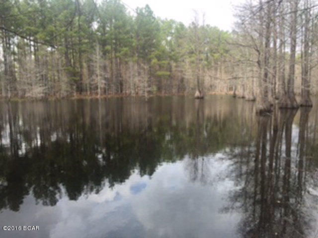 THIS PARTIALLY WOODED, 15.13 ACRE TRACT OFFERS MANY POSSIBLE HOMESITES. PROPERTY FEATURES LARGE FISHING POND WITH AGED CYPRESS TREES, ABUNDANCE OF WILDLIFE AND A LONG PRIVATE DRIVEWAY. THIS PARCEL IS LOCATED JUST OFF CLAYTON RD AND IS LESS THAN A 10 MINUTE DRIVE TO BONIFAY, CHIPLEY AND VERNON. RECENT SURVEY WILL BE PROVIDED TO BUYER.