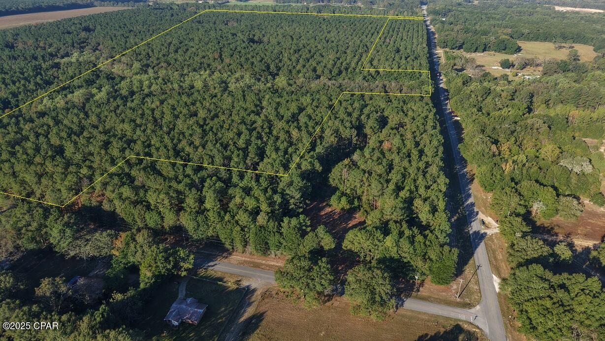 Discover an exceptional Northwest Florida property that blends perfectly for recreation, investment, and future development opportunities. Enjoy the benefits of paved road frontage with power and water available at the road front. Currently undeveloped, this beautiful property offers you the freedom to set the land as you see fit. Whether you envision a private homesite, hunting cabin, or peaceful getaway, there are numerous building locations and staging areas to choose from. Mature pine timber covers much of the property, offering both long-term value and excellent wildlife habitat. The option for sustainable timber management provides opportunities for future income while supporting the land's natural ecosystem. A perennial creek meanders through the tract, supplying a steady water source for wildlife and enhancing the property's scenic appeal. With designated food plot areas and a well-established trail system in place, the land is immediately ready for outdoor recreation and hunting. Excellent hunting opportunities can be found with a good presence of whitetail deer, turkey, and hogs which are seen on a regular basis. You'll not only be privy to privacy but convenience being that this property is located within easy reach of nearby towns for supplies and services. And for those looking to expand, adjoining acreage is available allowing you to increase your footprint and control a larger holding. Don't miss this rare opportunity to secure a versatile piece of land with loads of potential. Give us a call today to schedule your private showing.