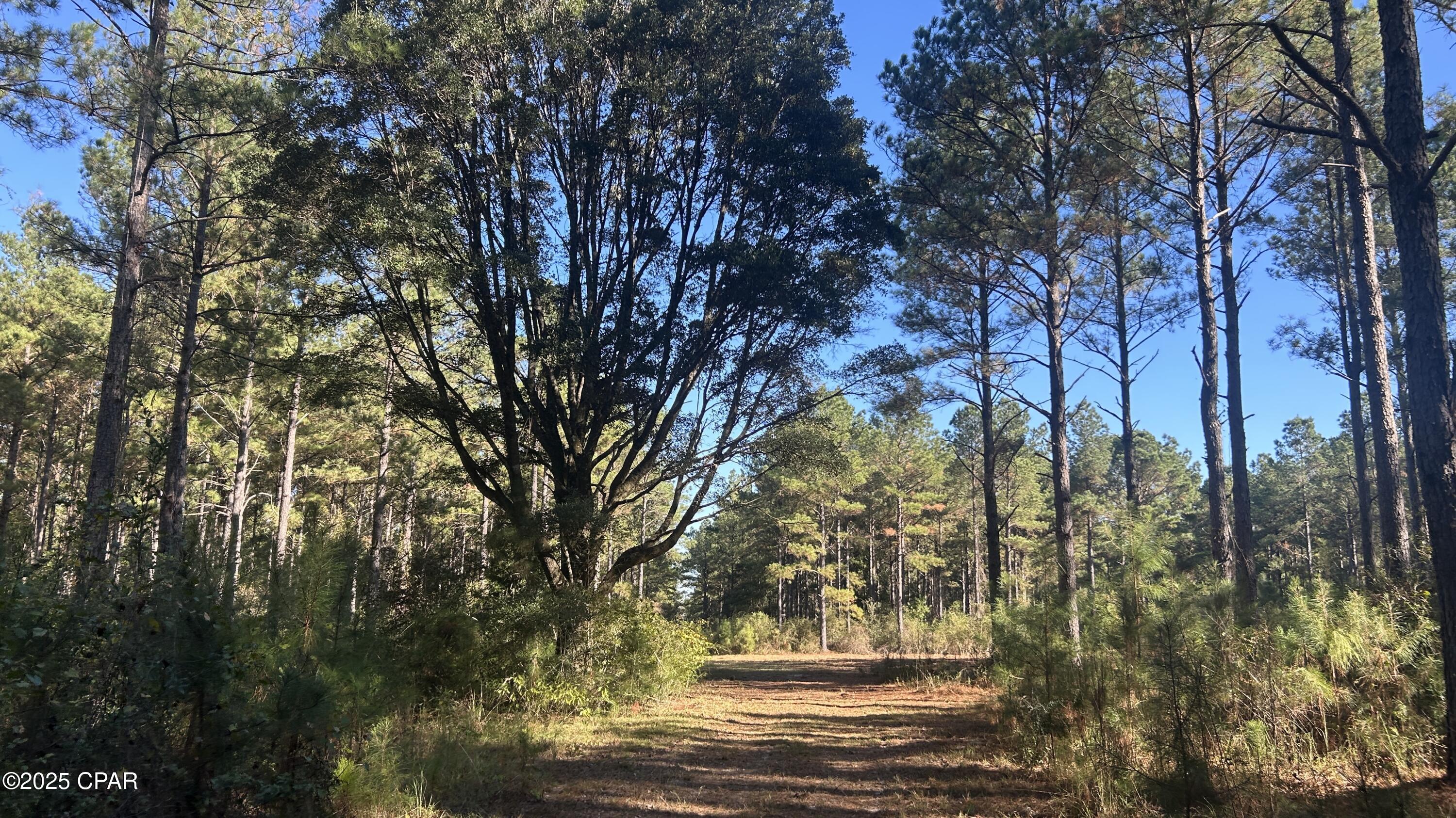 Other - Land