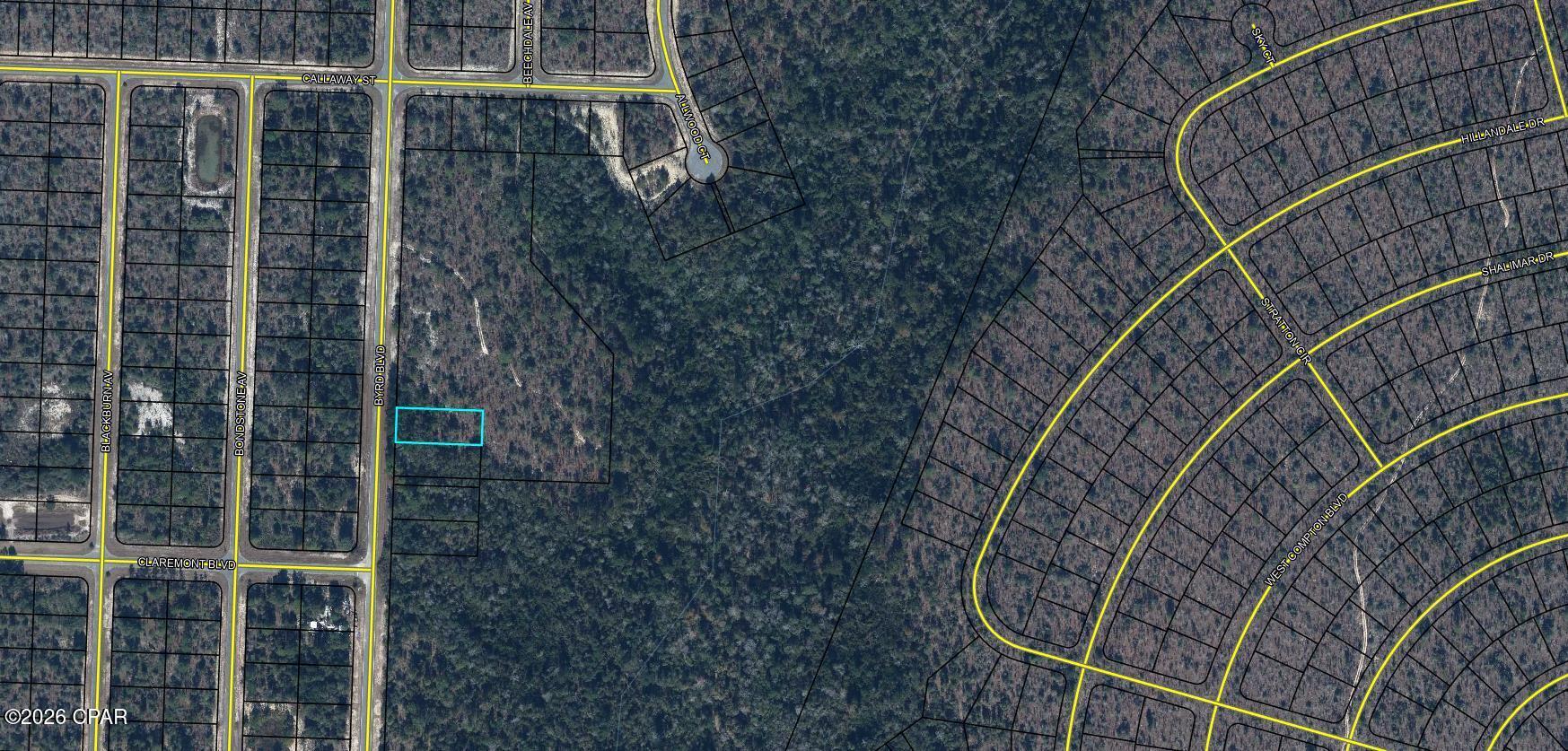 Surveyed residential property located in a quiet, undeveloped area of Sunny Hills, offering a peaceful setting for a future home. The parcel backs up to approximately 140 acres of currently undeveloped land owned by The Deltona Corporation. Sunny Hills amenities include several fishing lakes, seasonal swimming at Boat Lake with its white sandy beach, and an 18-hole golf course. The seller also has eight additional surveyed lots listed in various areas of Sunny Hills and may consider a package deal. Buyer is responsible for the owner's title policy, documentary stamps on the deed, and the title company closing fee.
